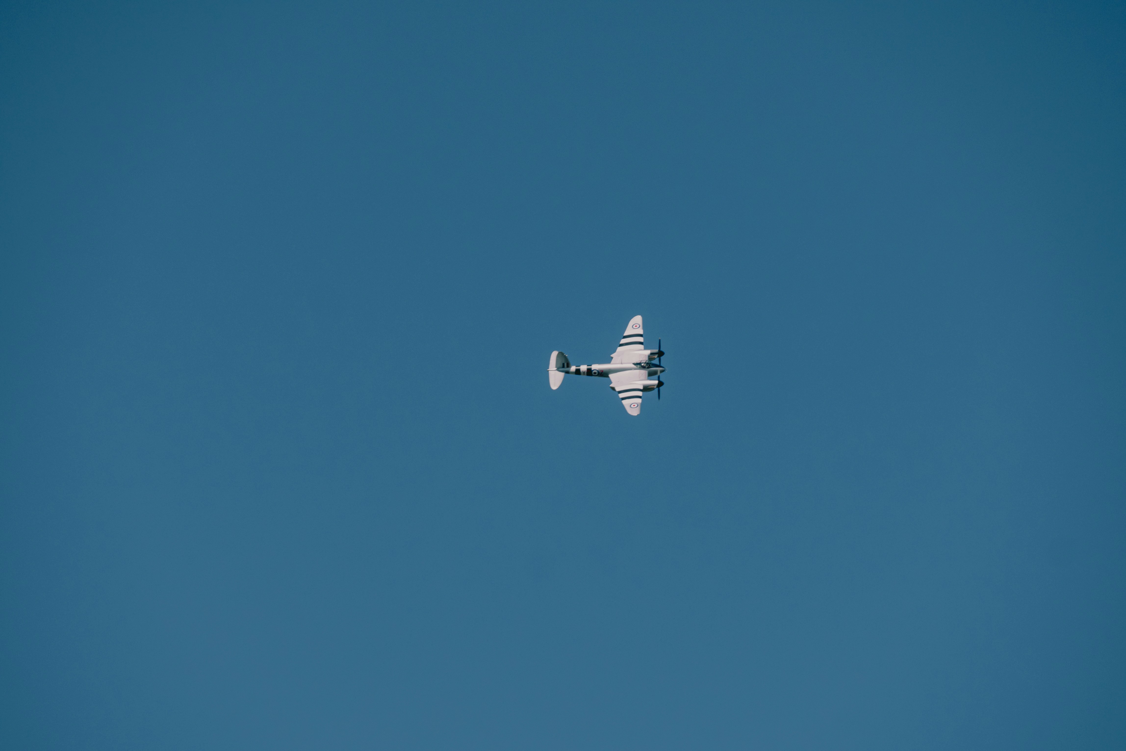 photo 1712107652508 320926cecf7a?crop=entropy&cs=tinysrgb&fit=max&fm=jpg&ixid=M3w1MjQ0NjR8MHwxfHNlYXJjaHwxNnx8TW9zcXVpdG8lMjByZXBlbGxlbnR8ZW58MHwwfHx8MTcyMjc4NTY4MXww&ixlib=rb 4.0