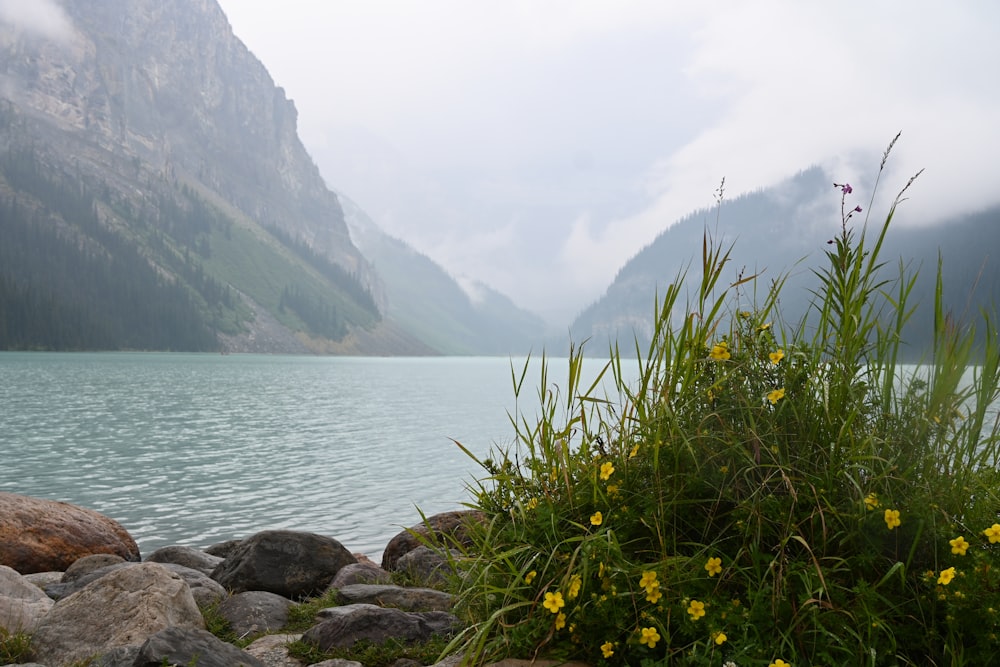 a body of water surrounded by mountains and rocks