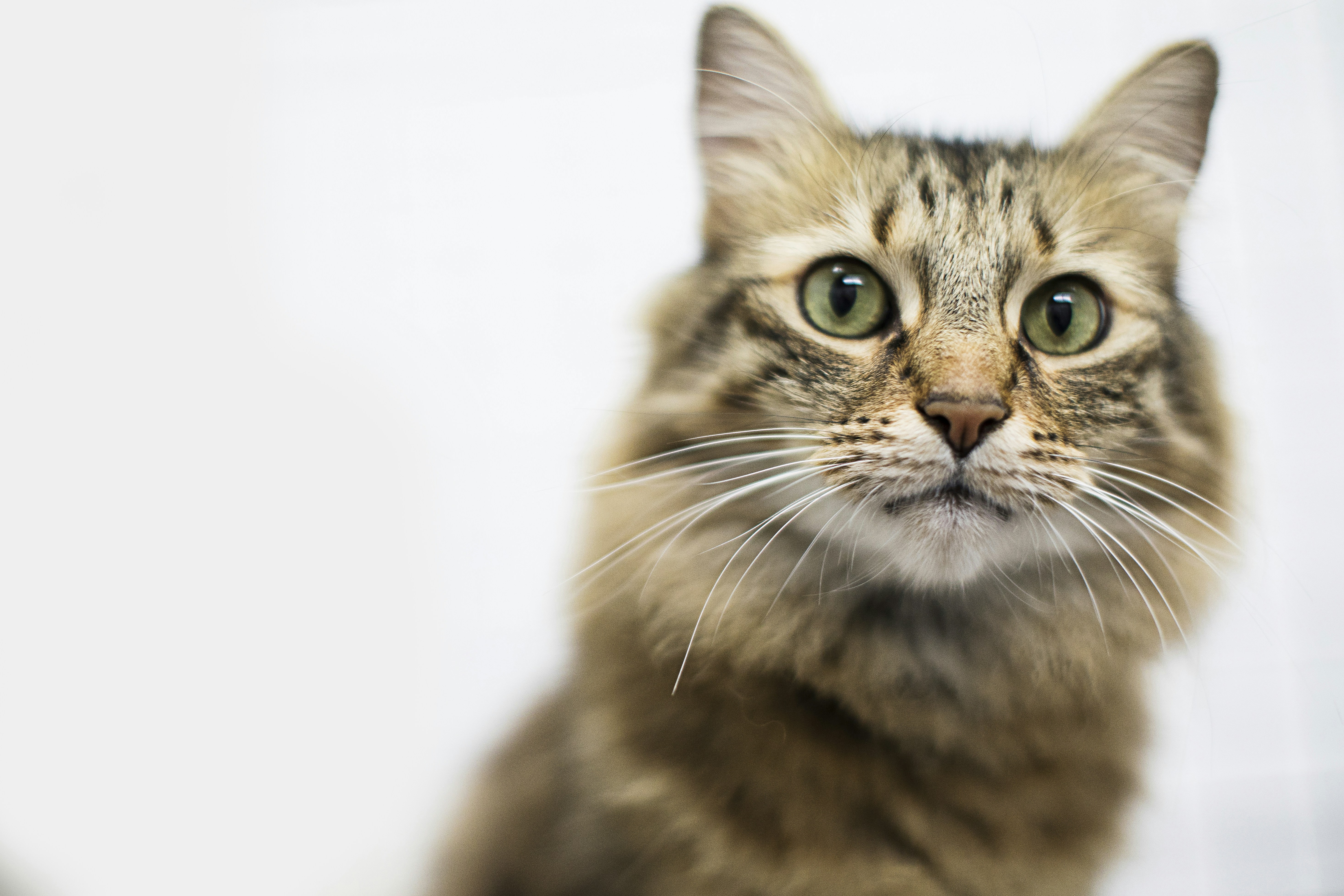 Photo by caroline_ross