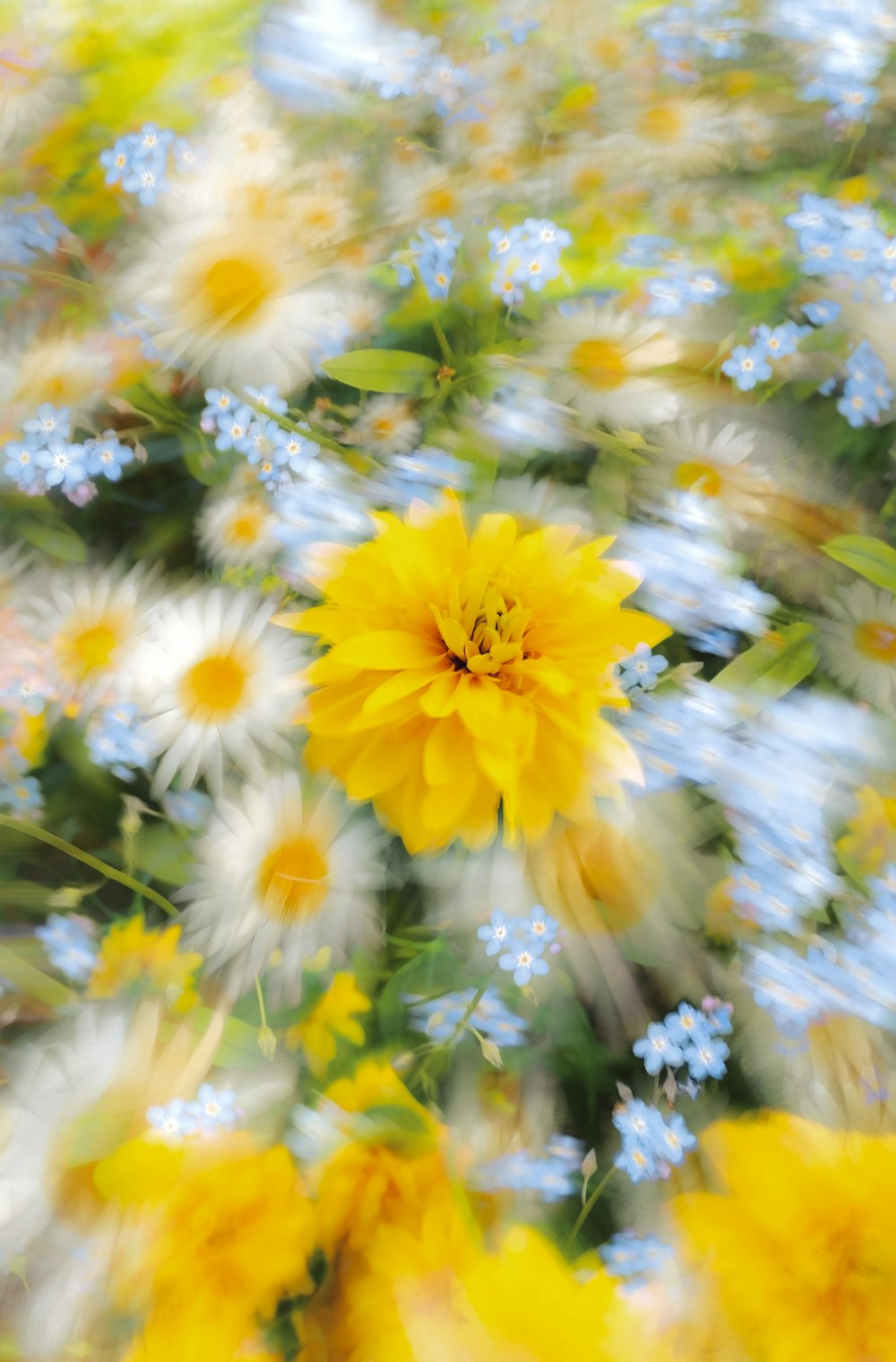 a bunch of flowers that are in the grass