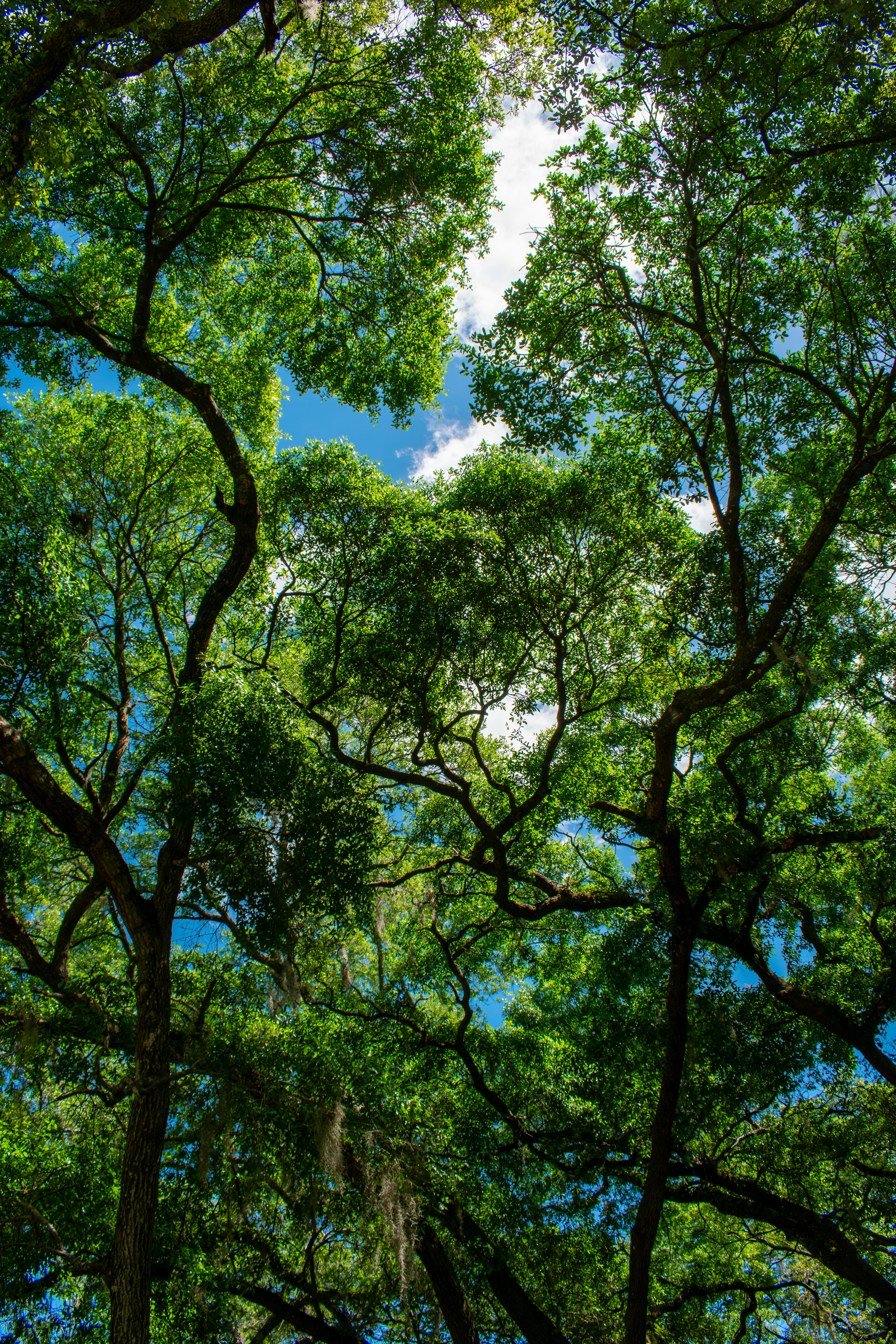 Photo by astro_civil