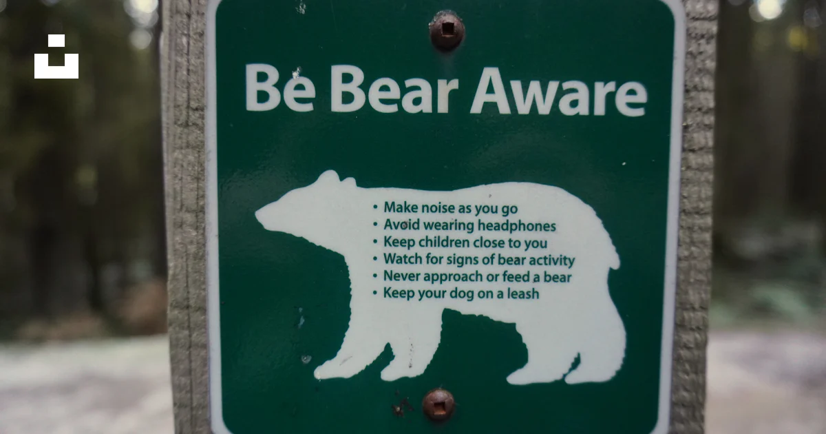 A bear warning sign posted on a pole photo – Free Grey Image on Unsplash