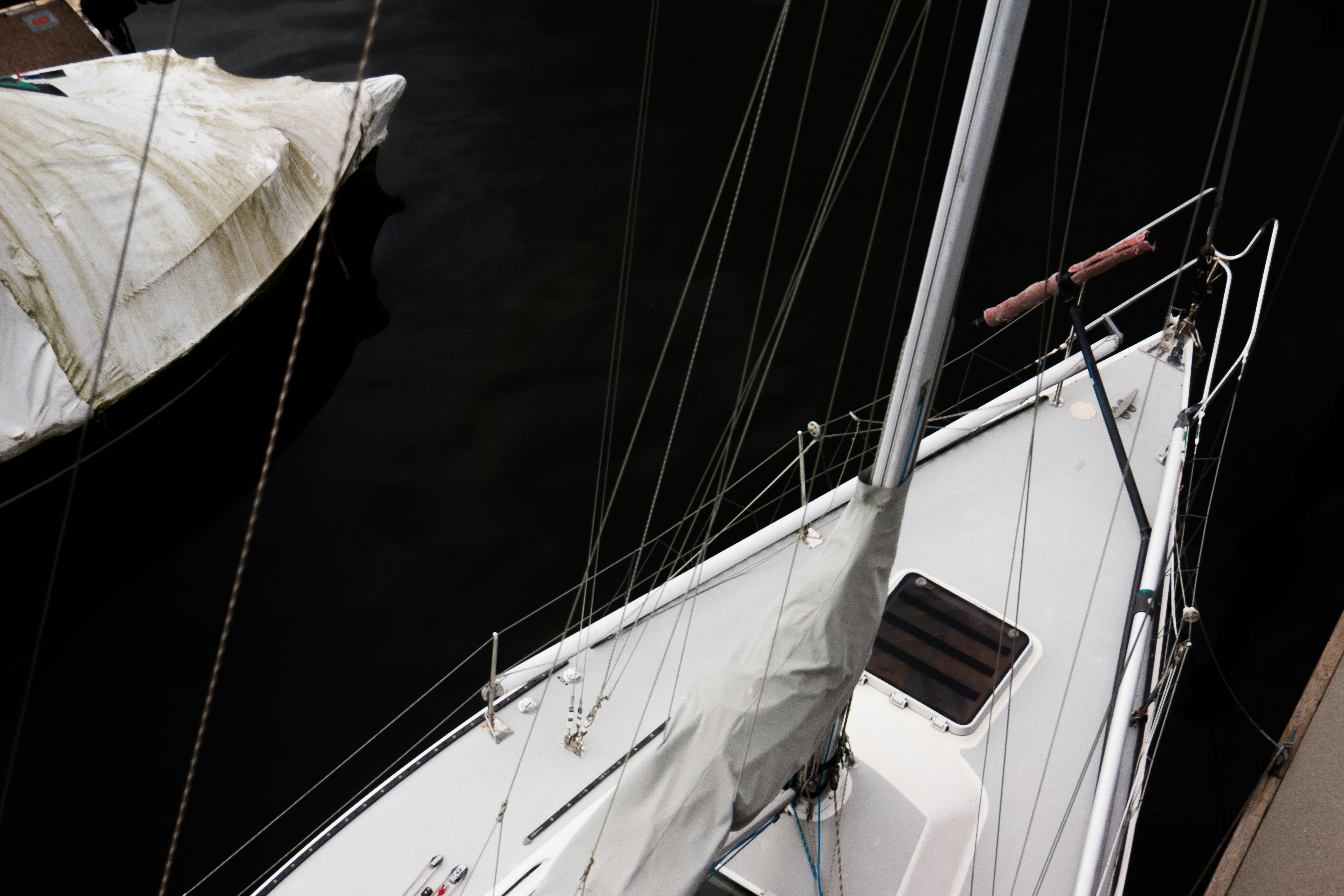 Photo by caroline_ross