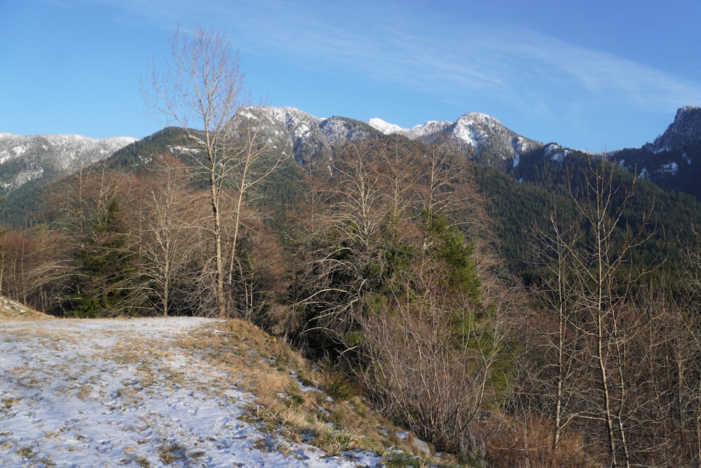 a view of a mountain range with snow on the ground