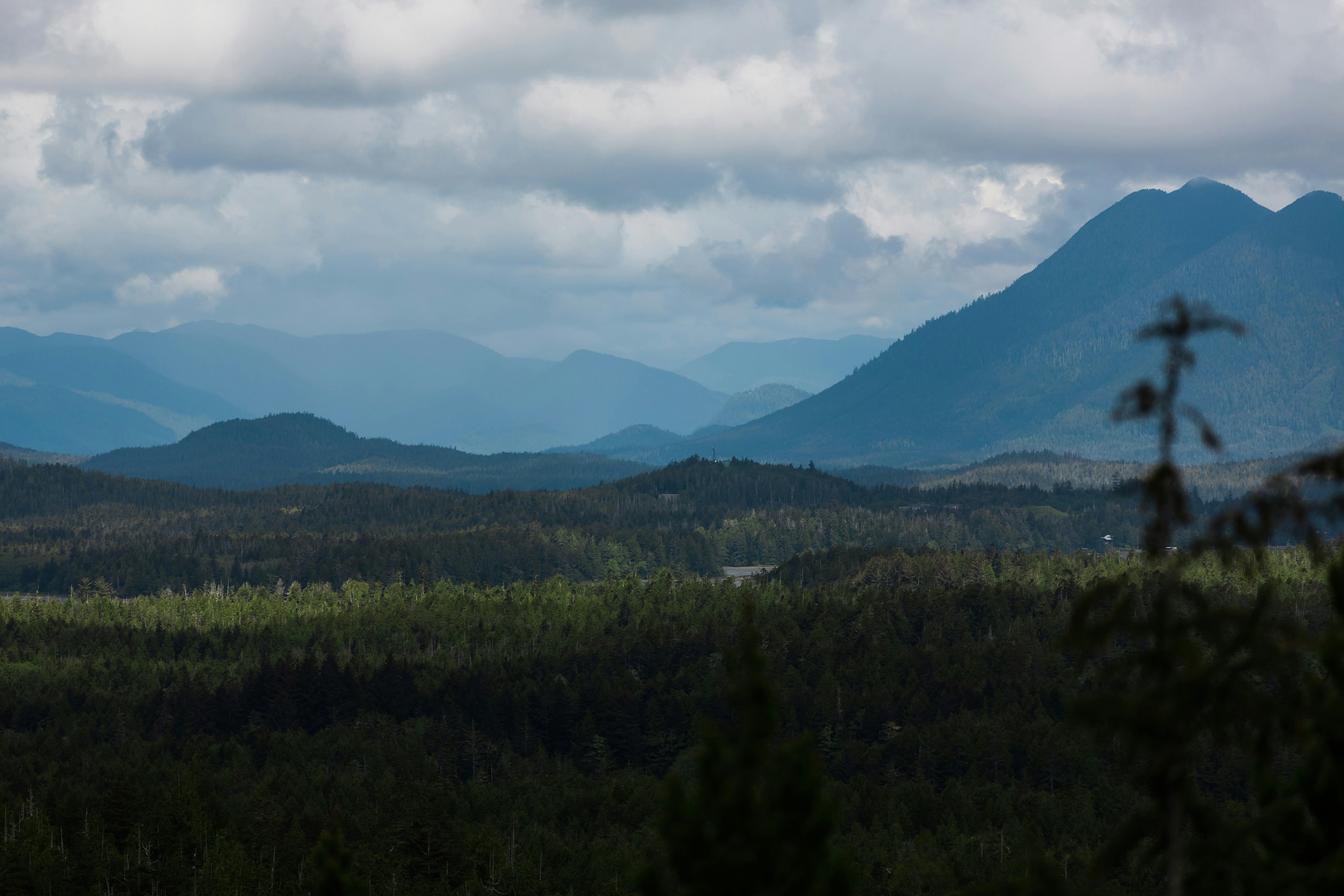 Photo by caroline_ross