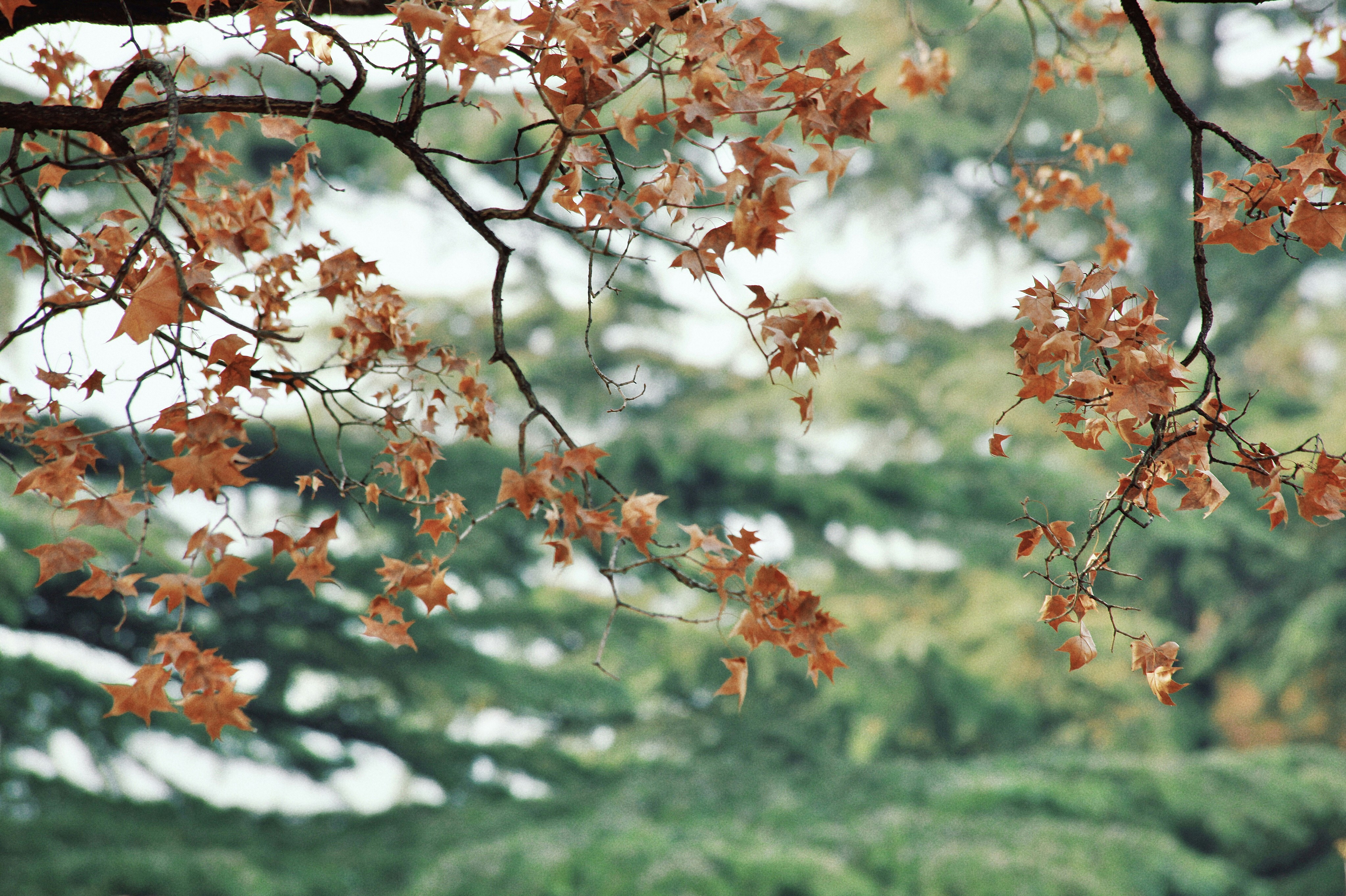 Photo by recordarsew