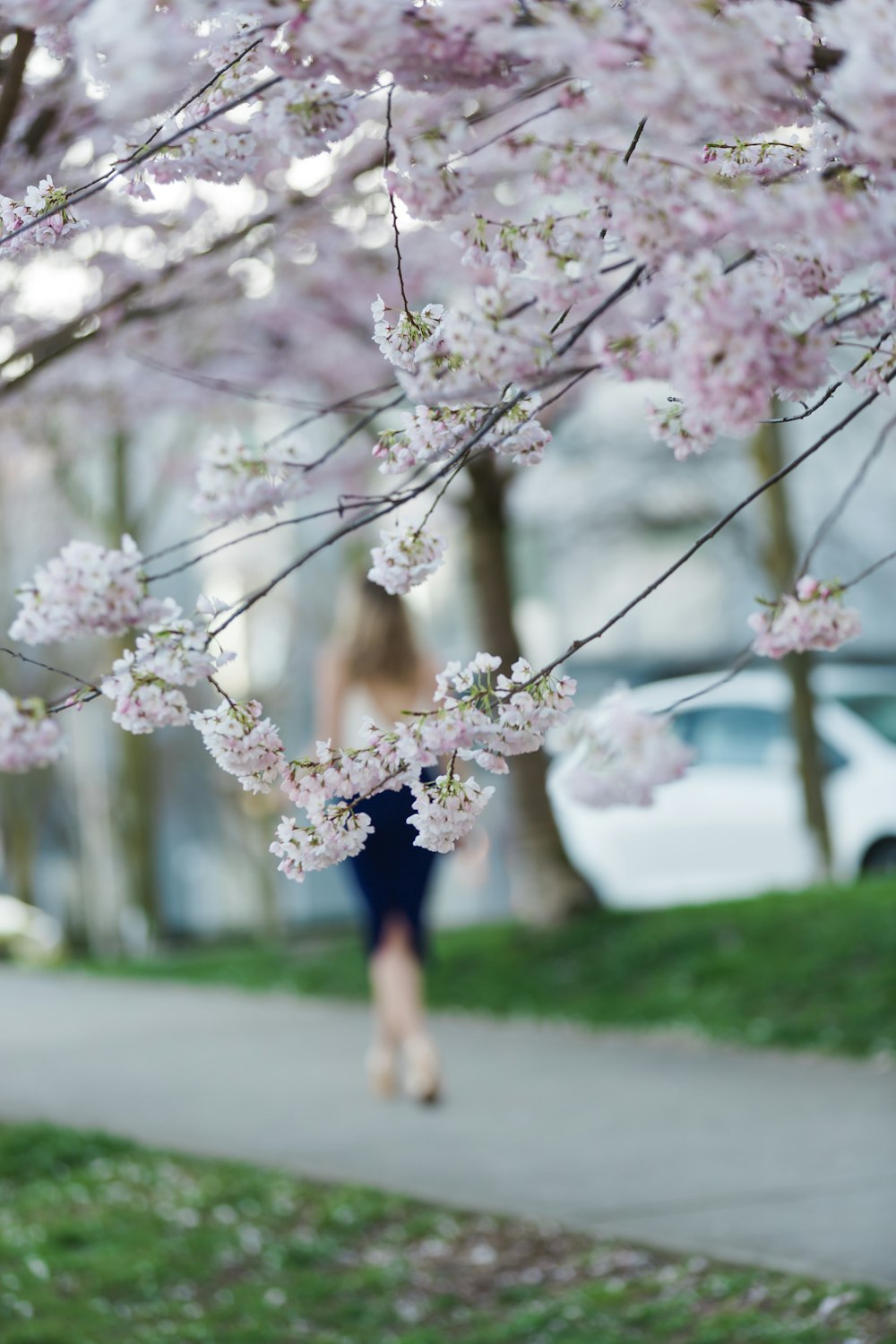 a woman walking down a sidewalk next to a tree