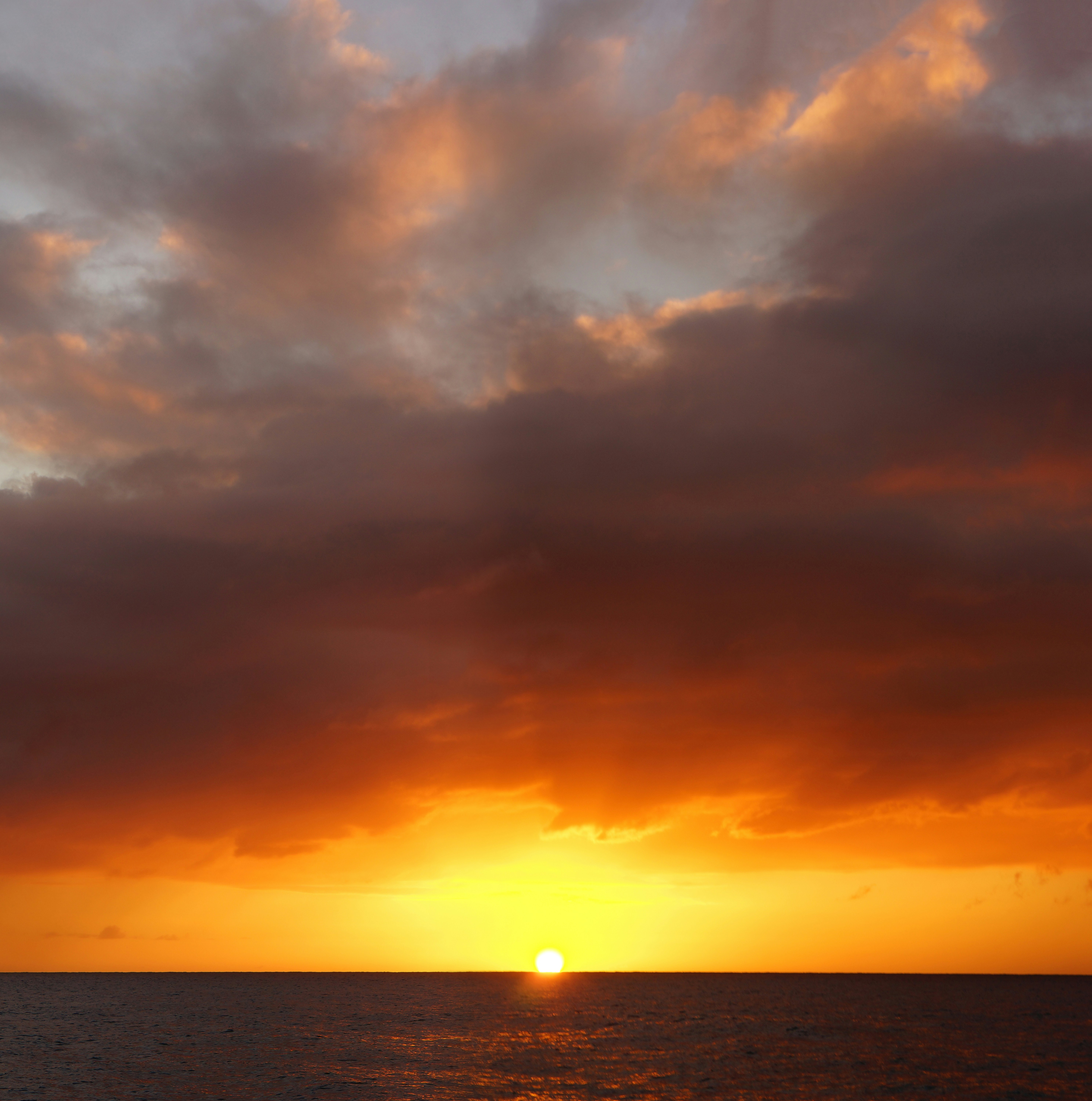 Photo by caroline_ross