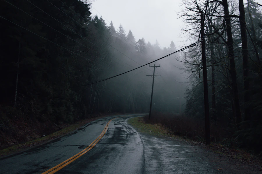 Road winding through a Vancouver Island forest
