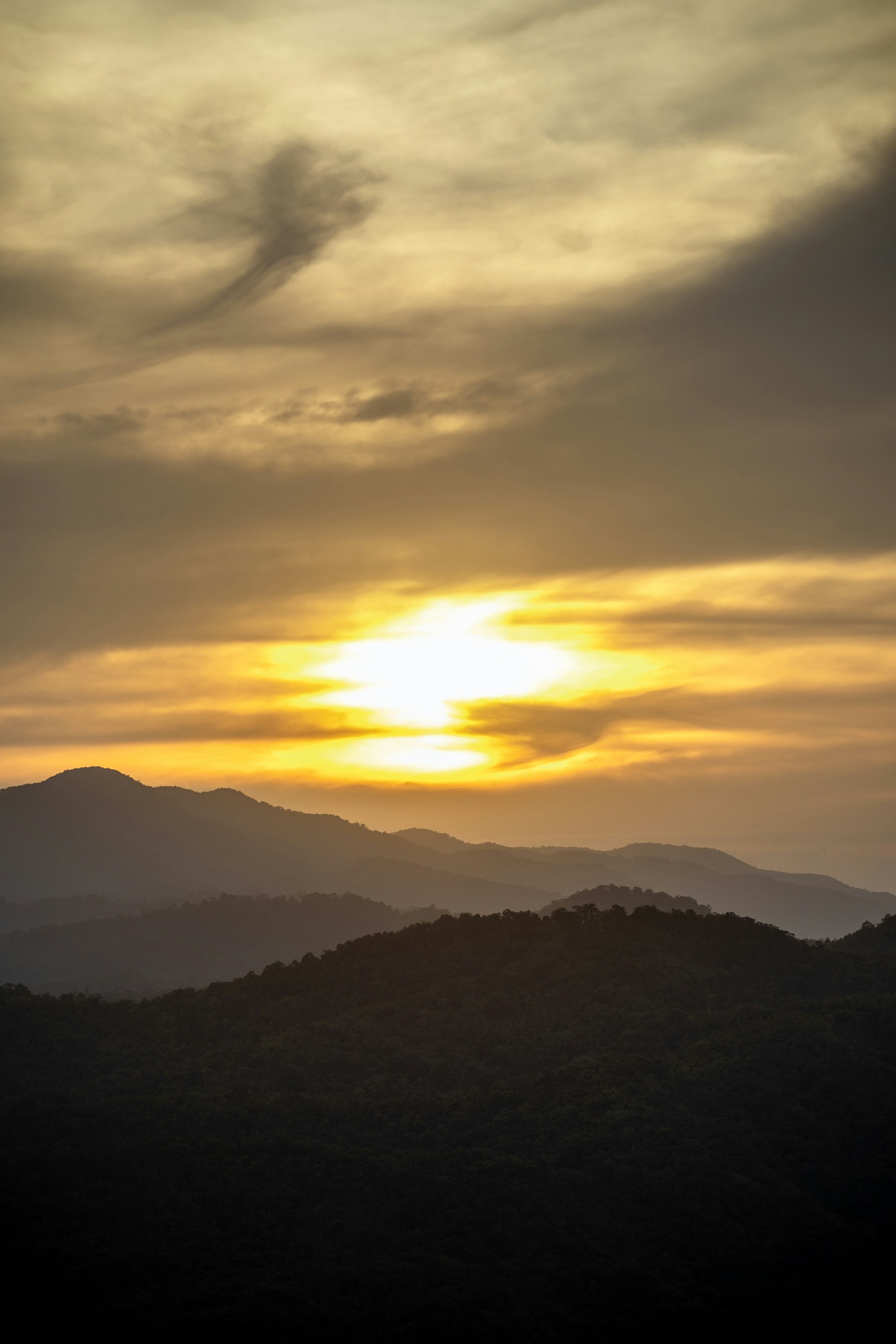 Photo by nguyentrungnguyen