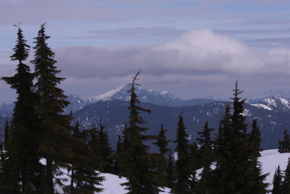 a view of a mountain range with trees in the foreground