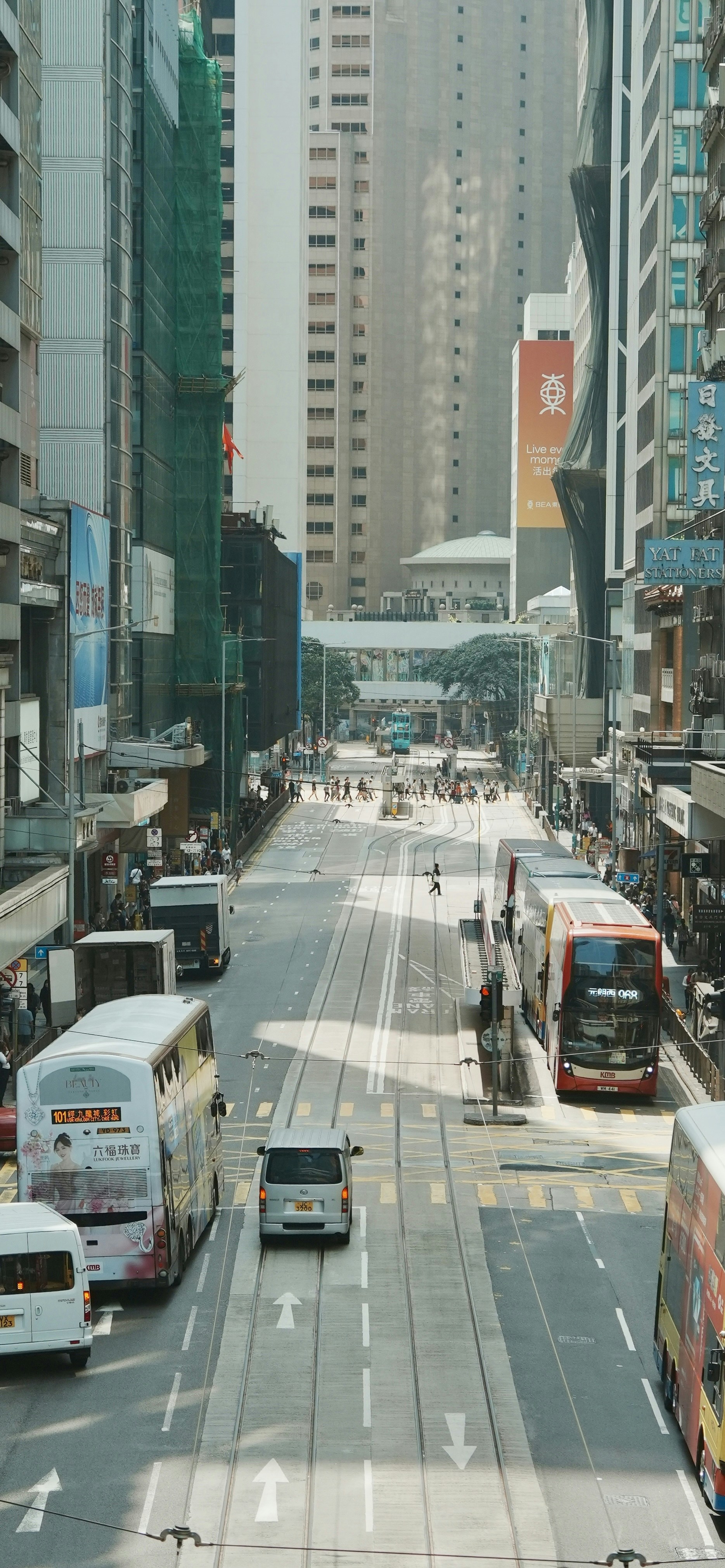 Photo by cardia_gong