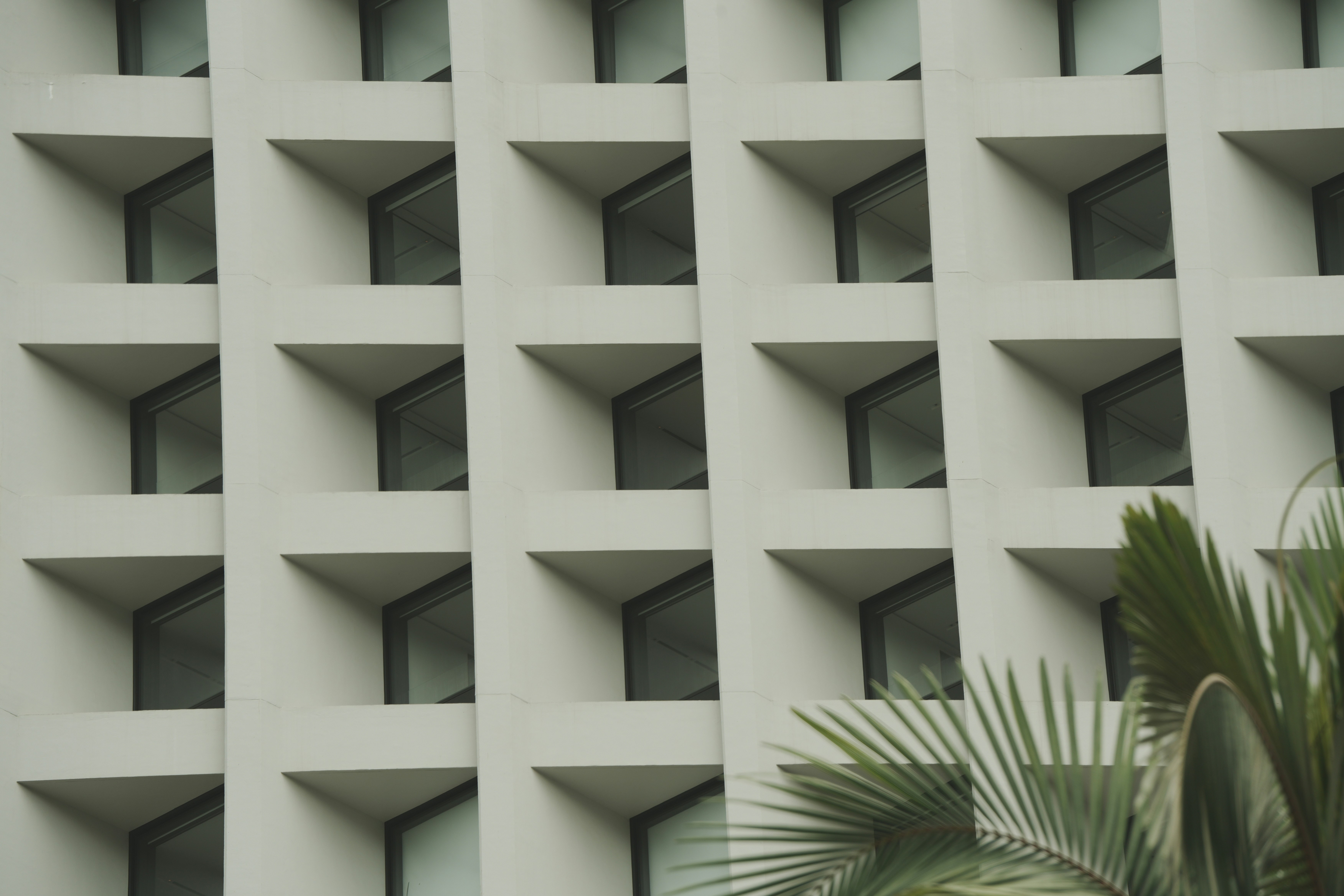 Photo by cardia_gong