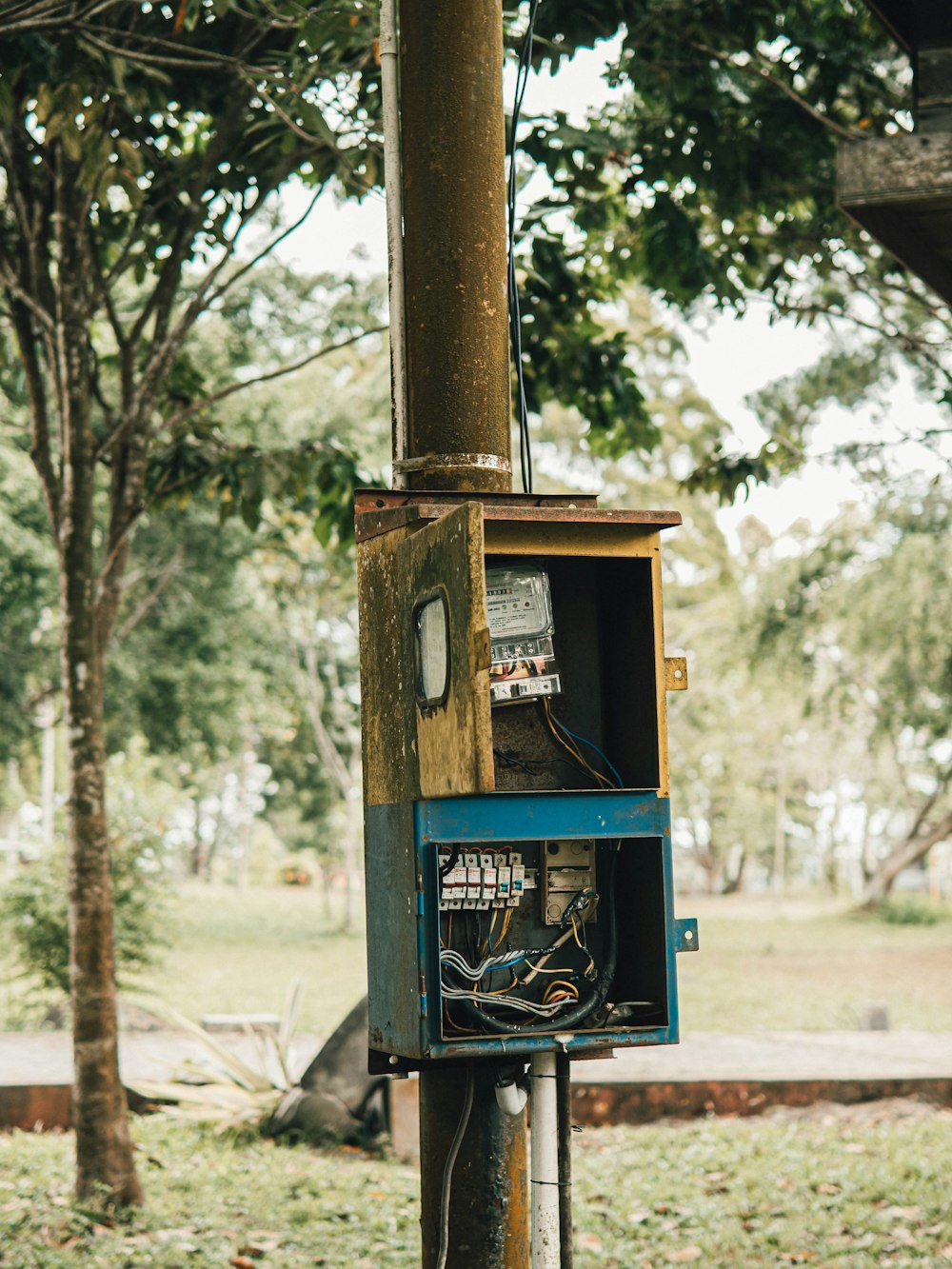 a blue box sitting on top of a wooden pole