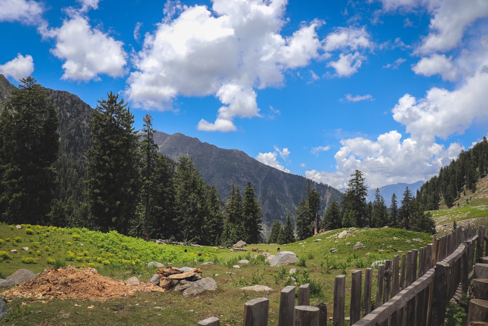 a wooden fence in the middle of a grassy field