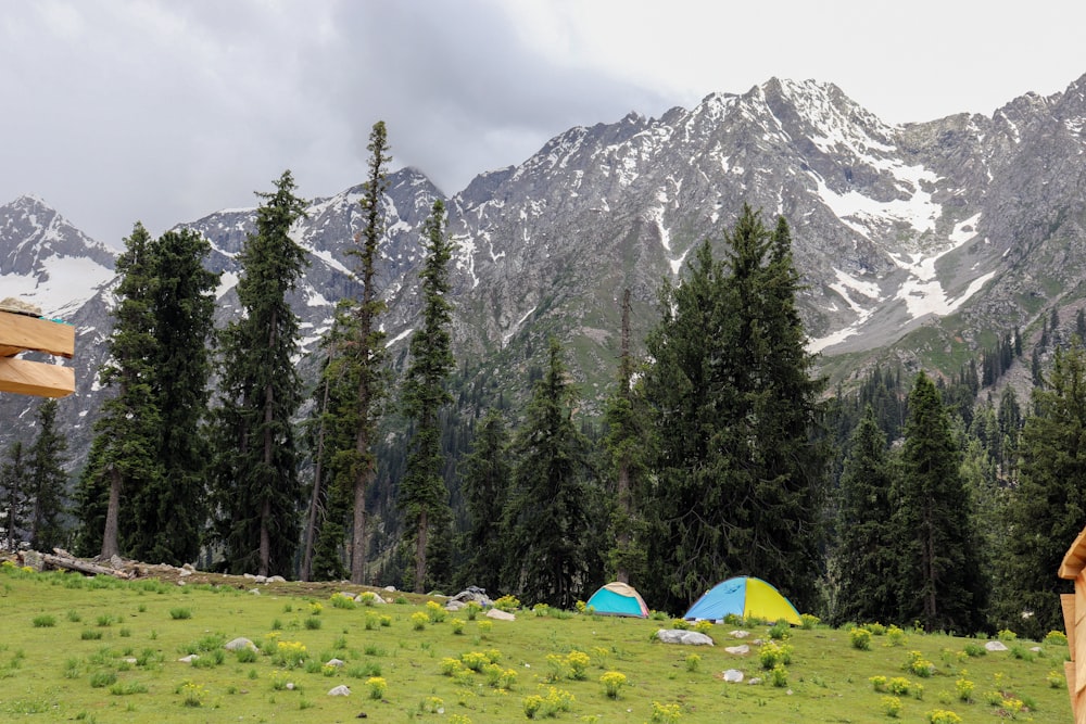 a couple of tents sitting on top of a lush green field