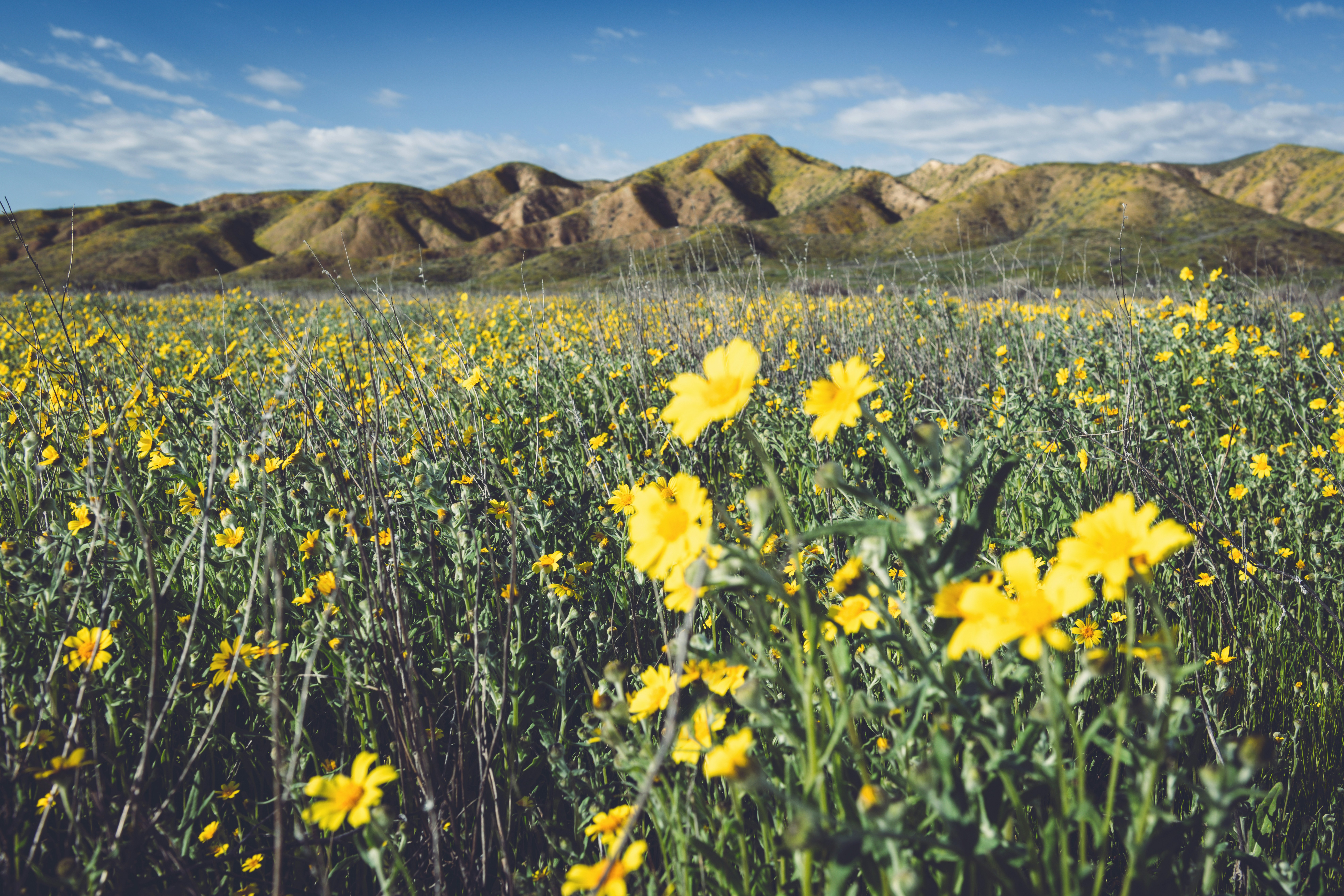 Photo by timmossholder