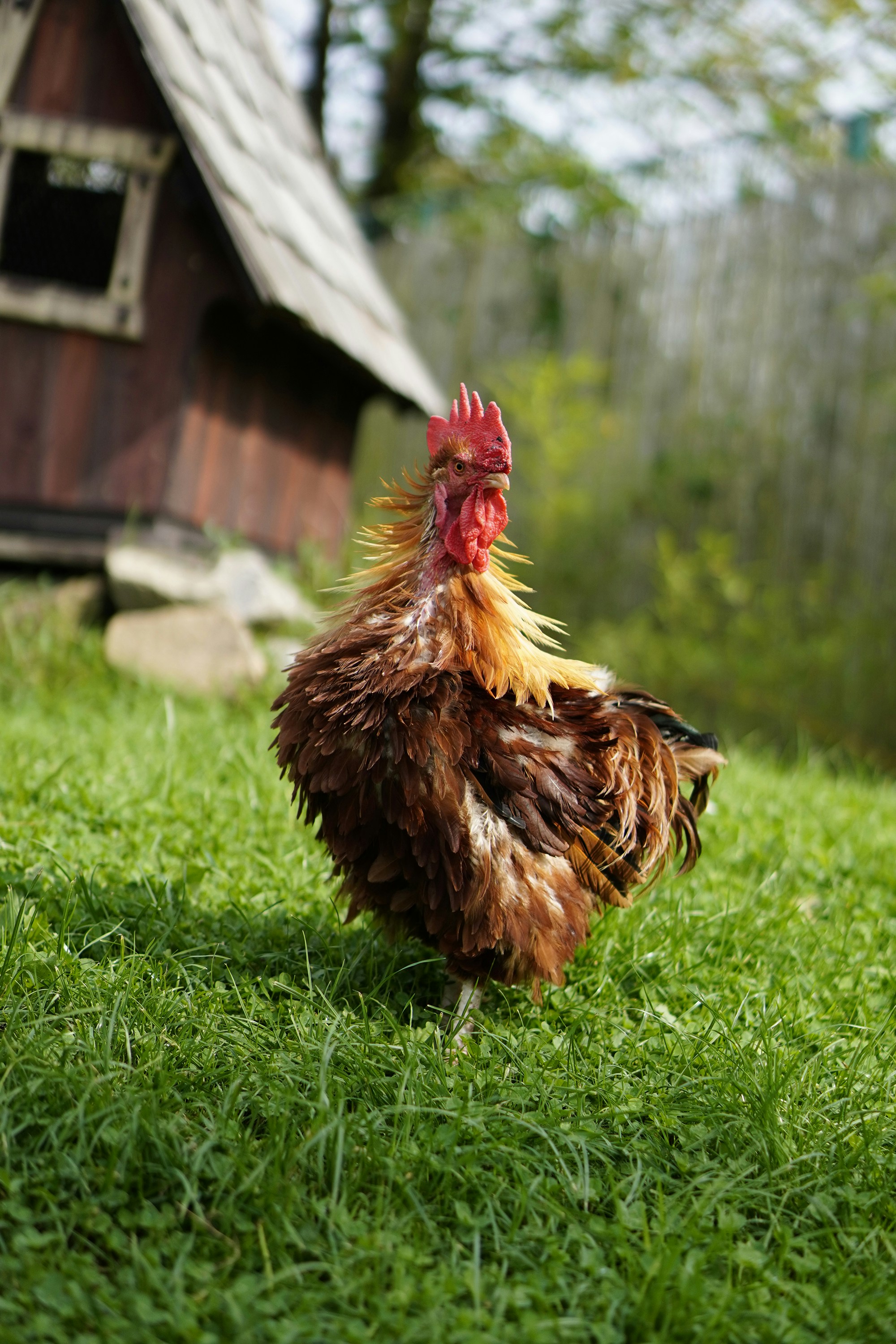 Photo by todorandonov