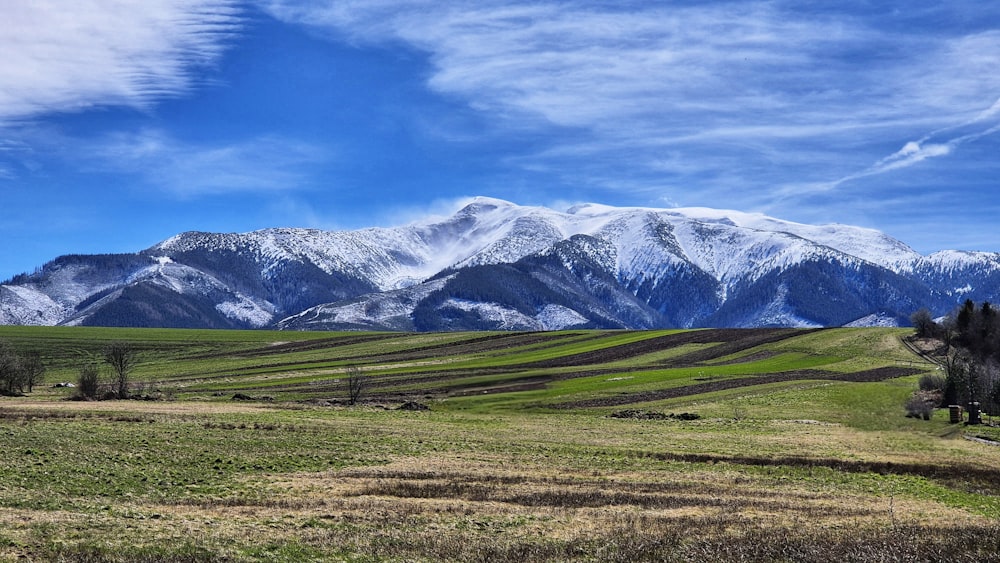 a large field with a mountain in the background