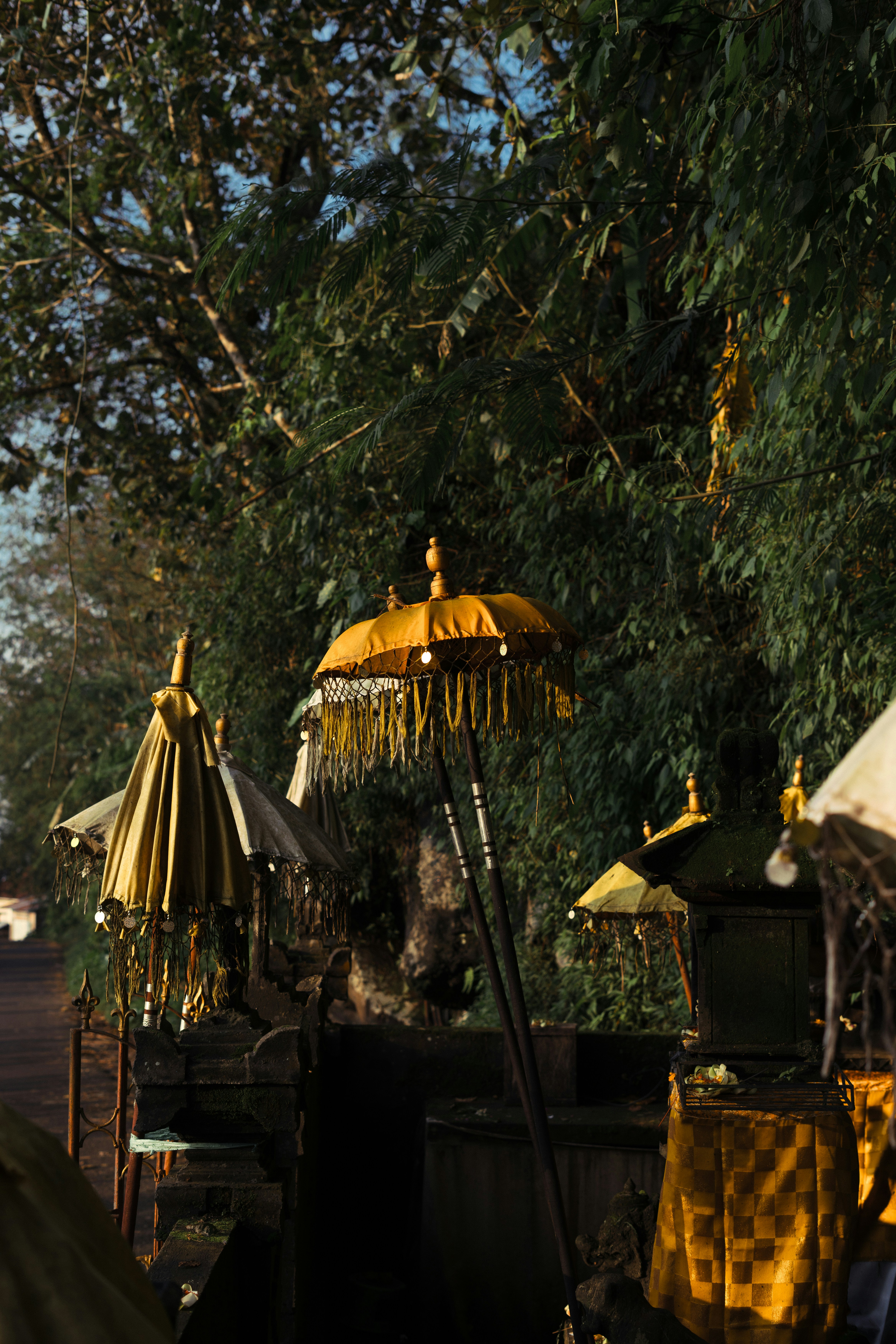 un montón de paraguas que están sentados en la hierba