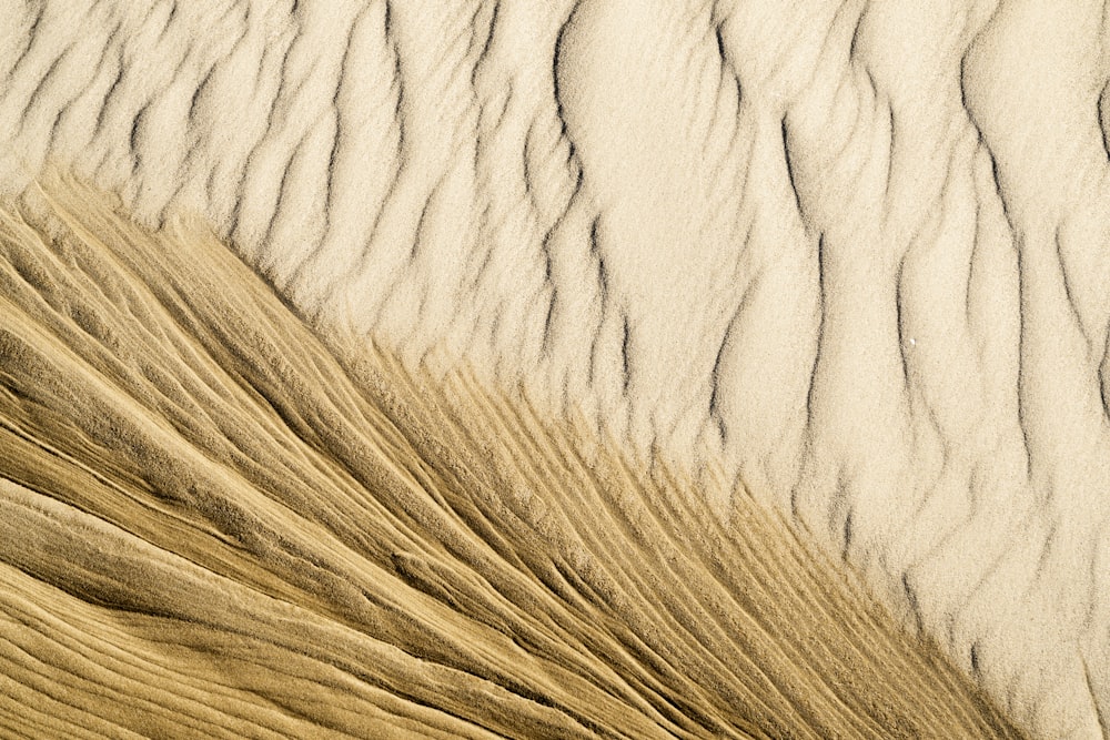 물결 모양의 선이 있는 모래 언덕의 클로즈업
