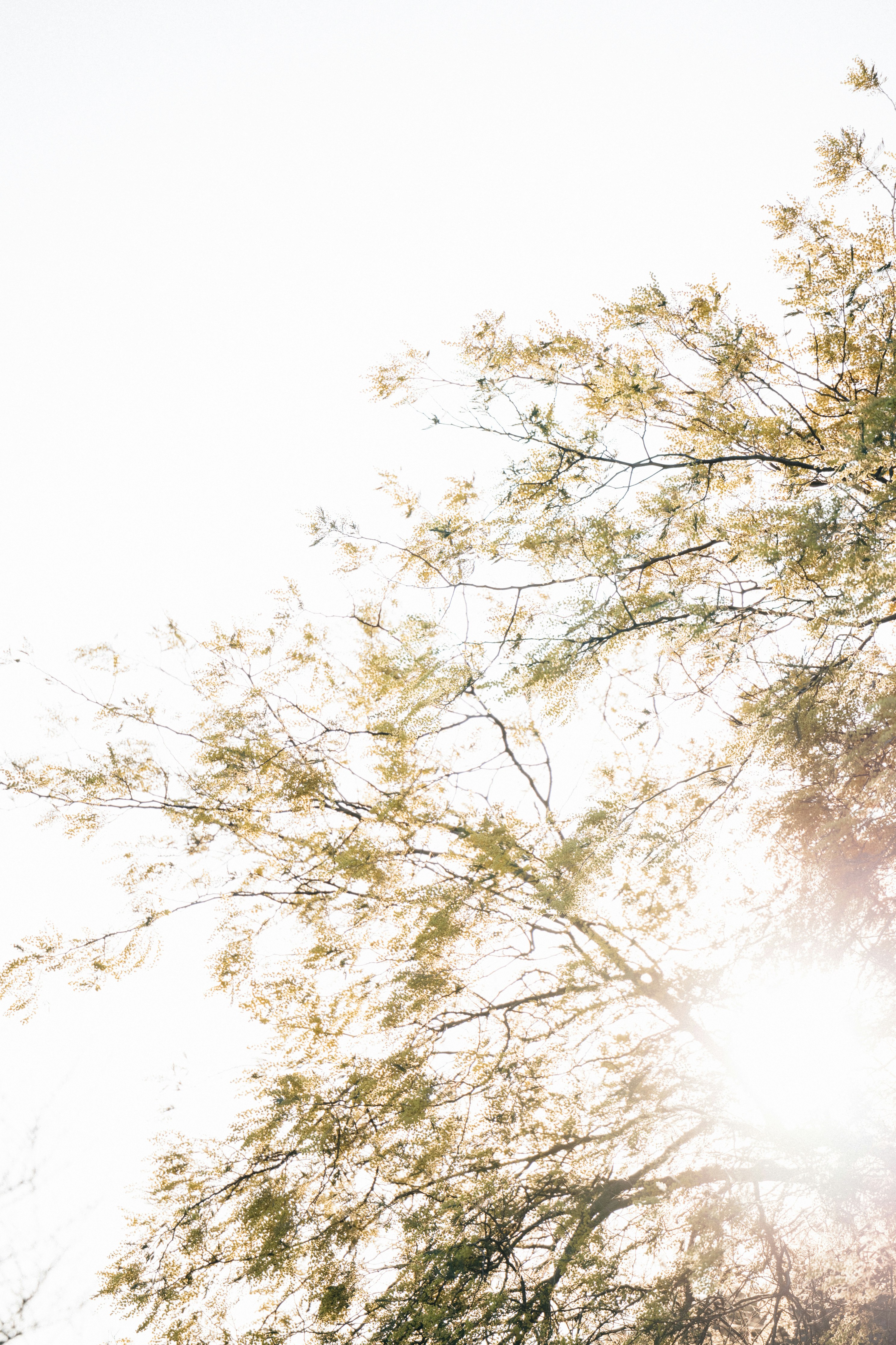 Photo by tsuyoshikozu