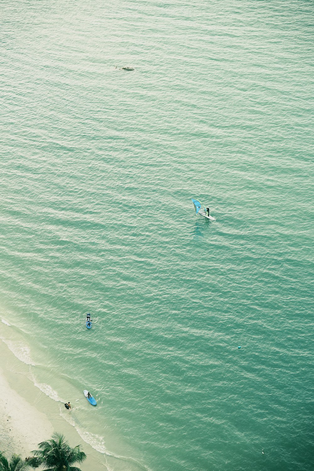 a group of people riding surfboards on top of a body of water