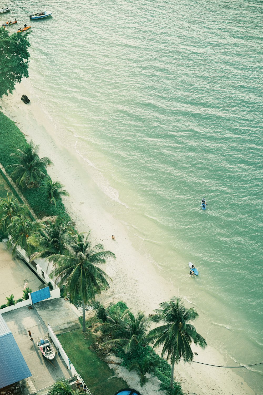 an aerial view of a beach with palm trees