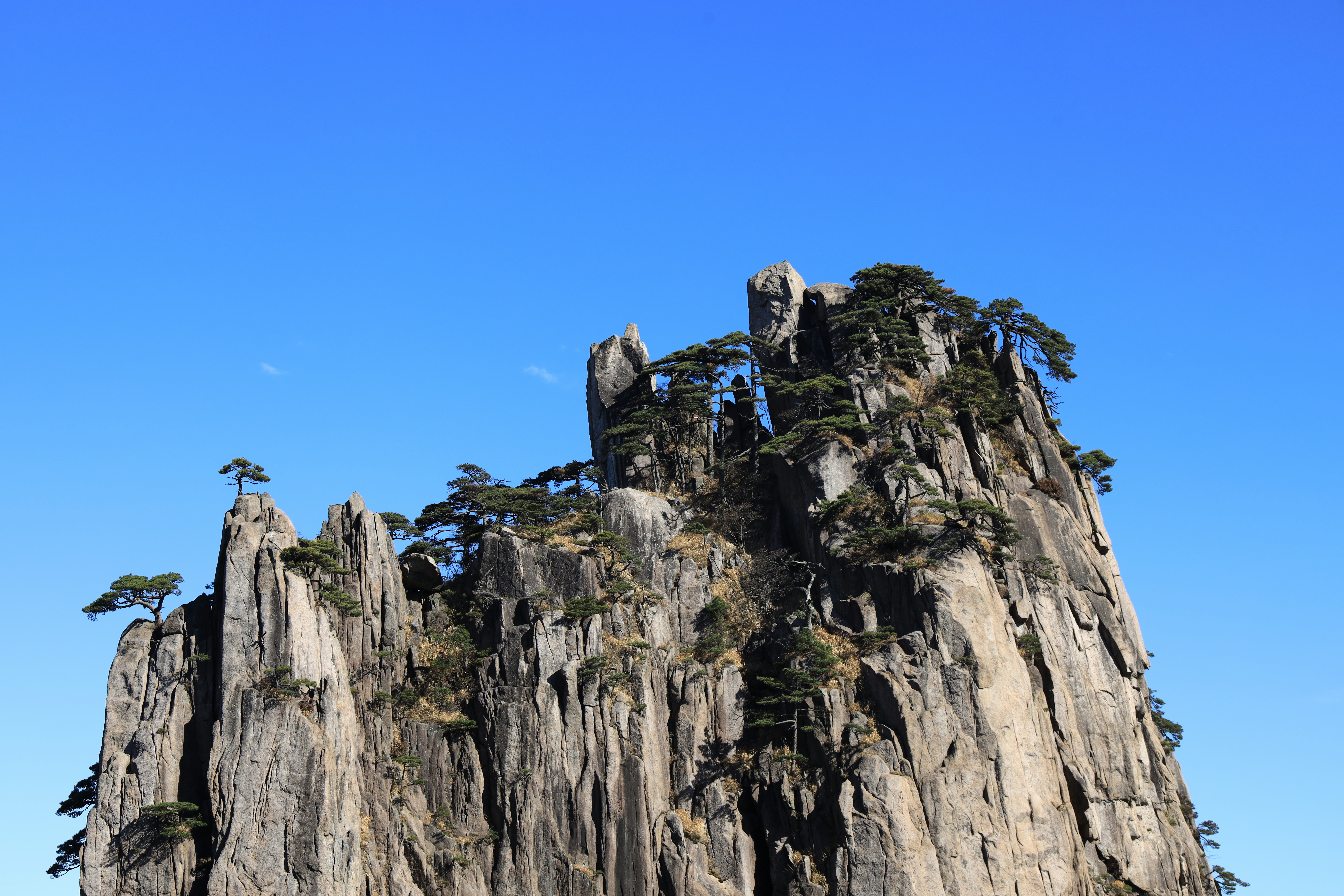 a tall mountain with trees on top of it