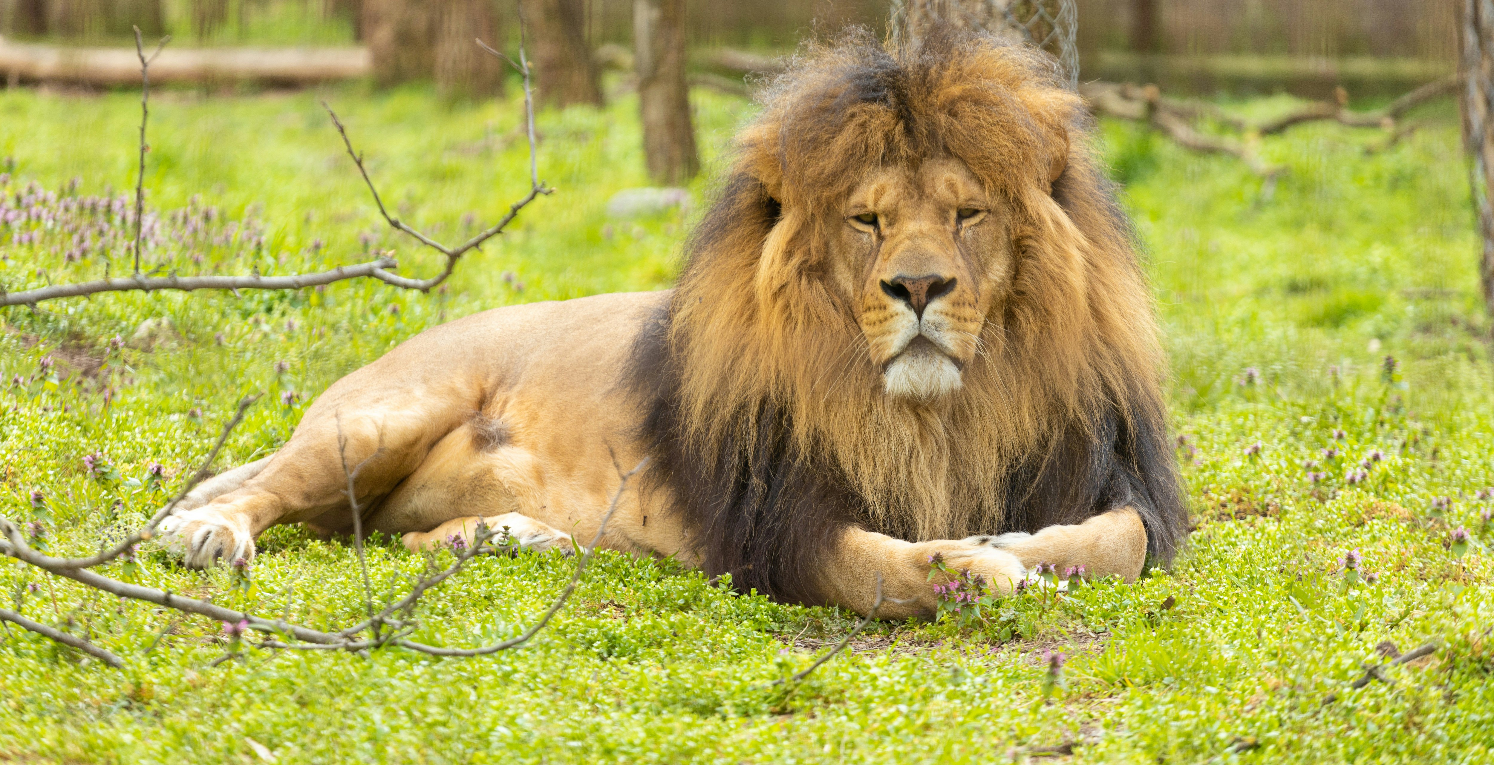 Photo by albertdavid6