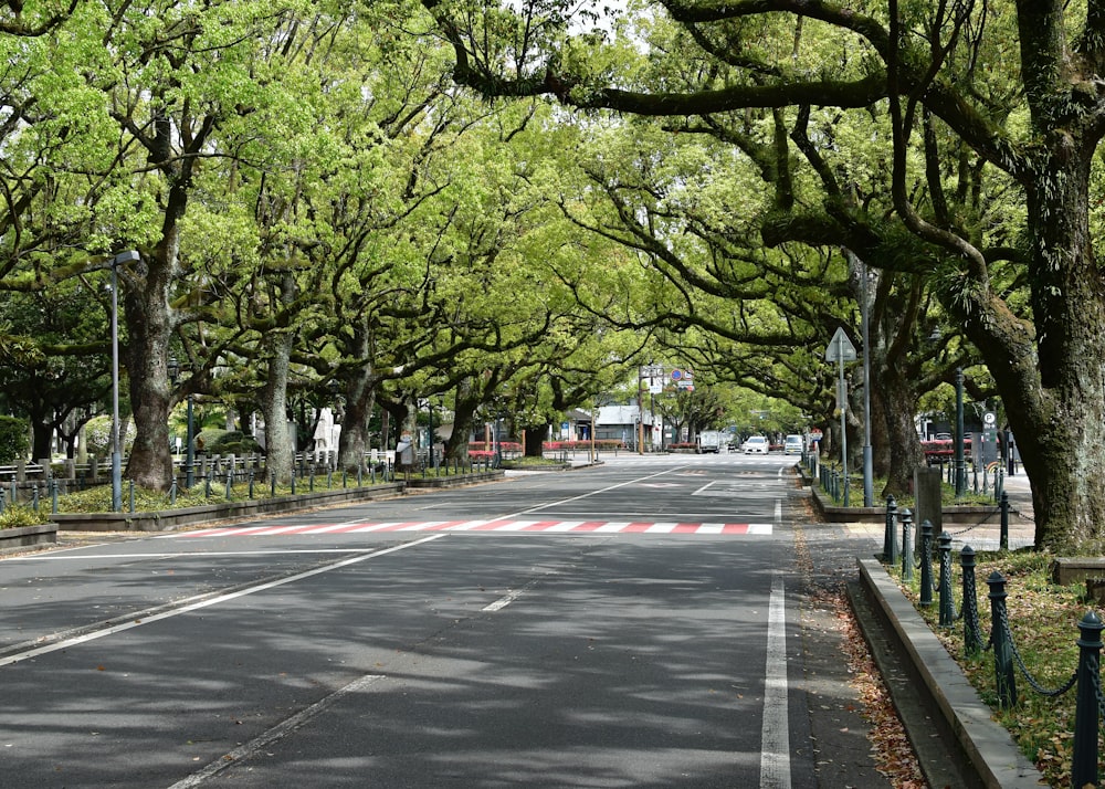 a street lined with lots of trees next to a fence