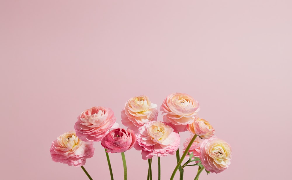 eine Vase gefüllt mit rosa und gelben Blumen