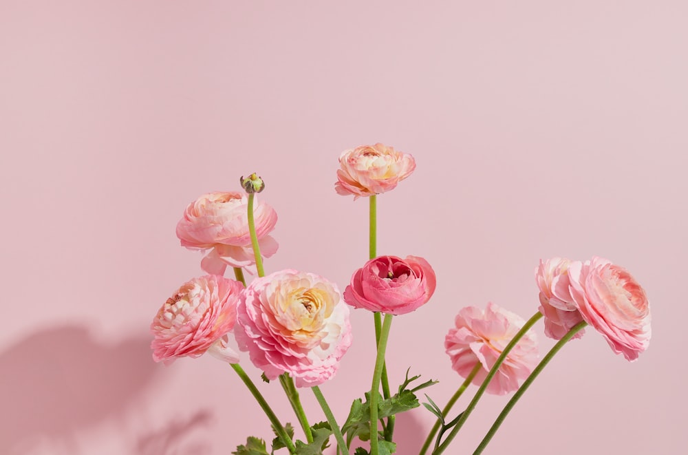 ピンクと白の花でいっぱいの花瓶