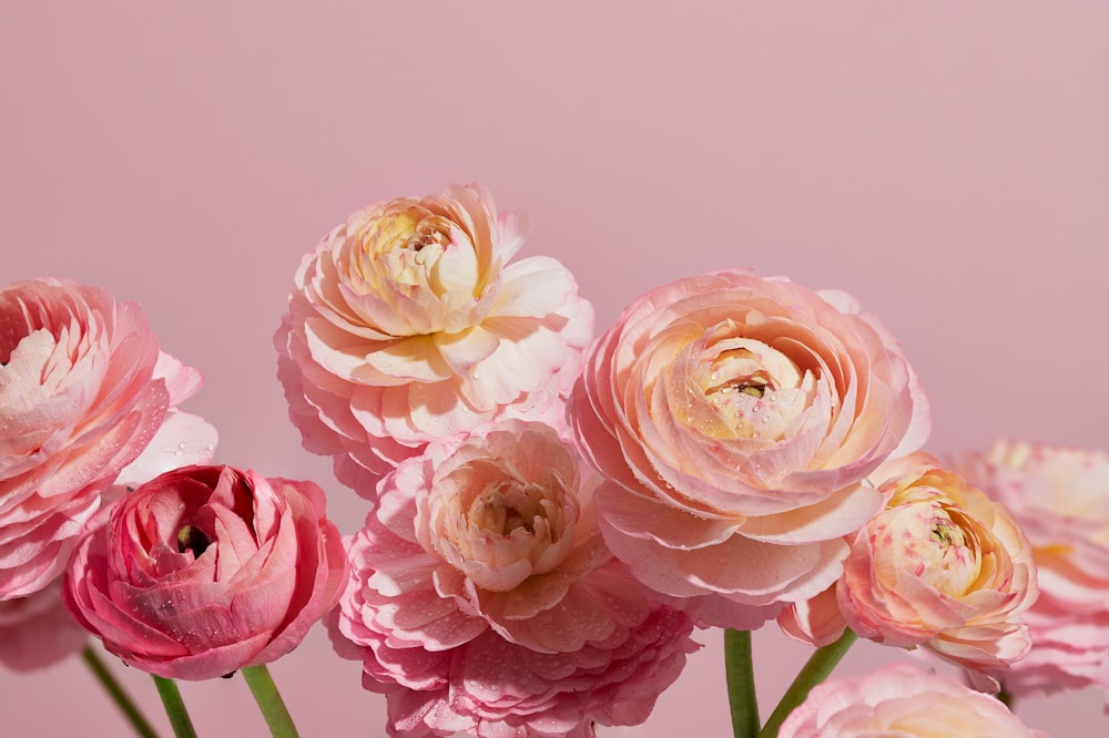 ein Strauß rosa Blumen sitzt in einer Vase