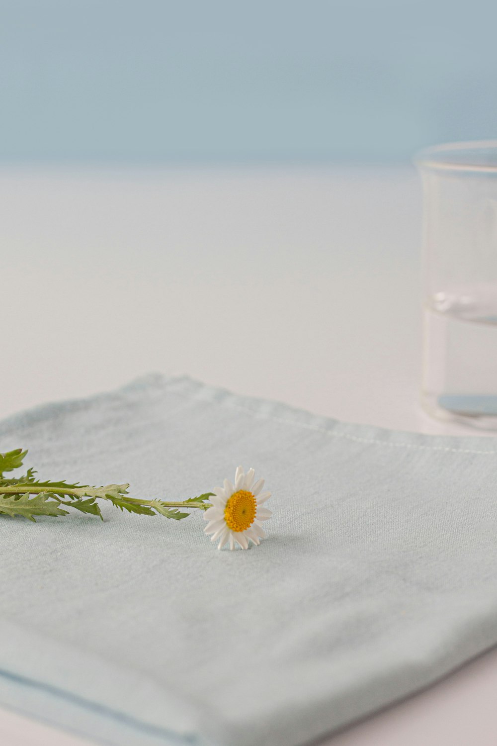 a single flower on a napkin next to a glass of water