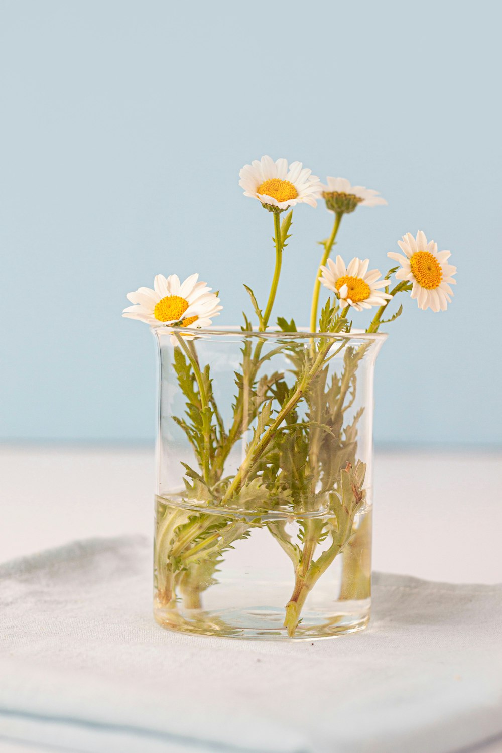 a glass vase filled with water and daisies