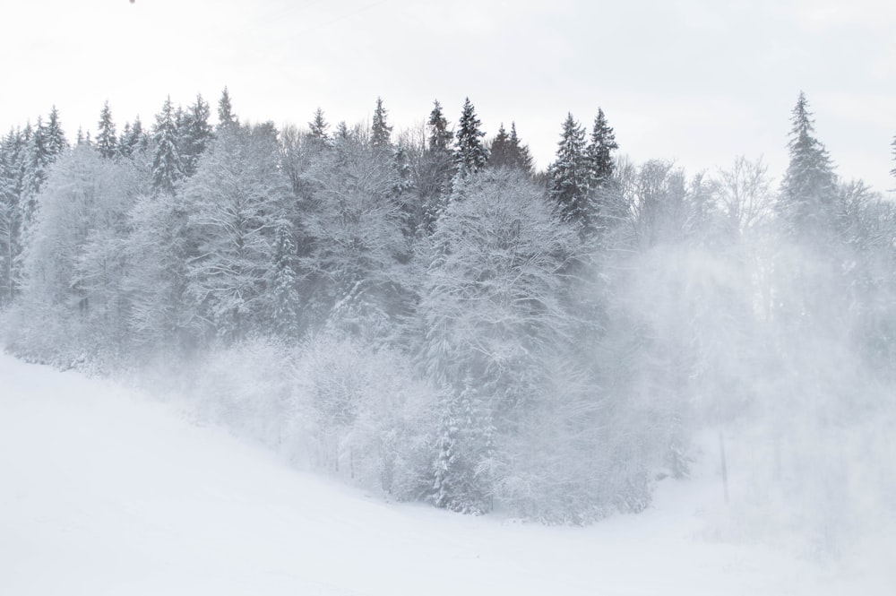 a person skiing down a snow covered slope