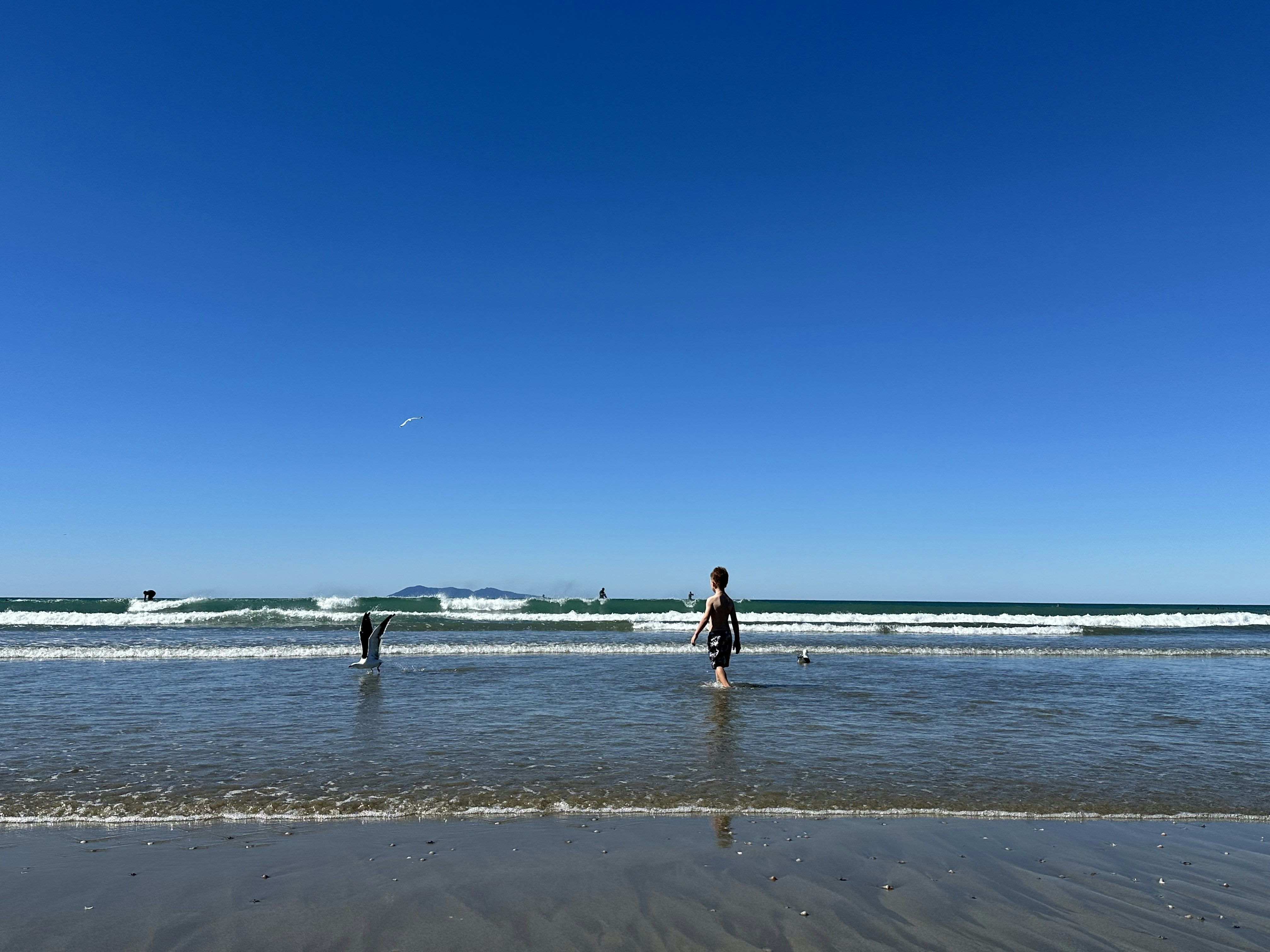 a couple of people standing on top of a sandy beach, 