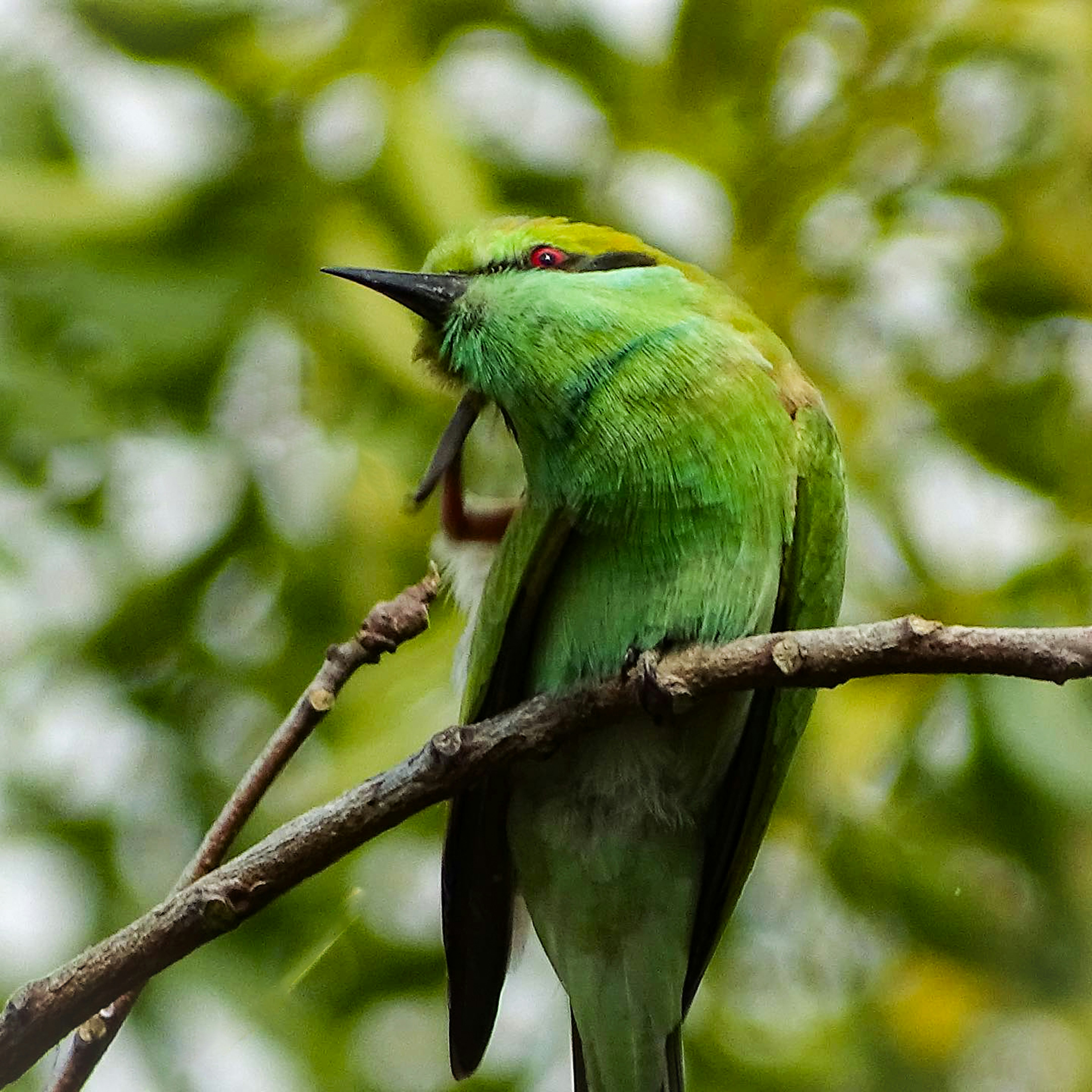 Photo by khushi_gandhi2605