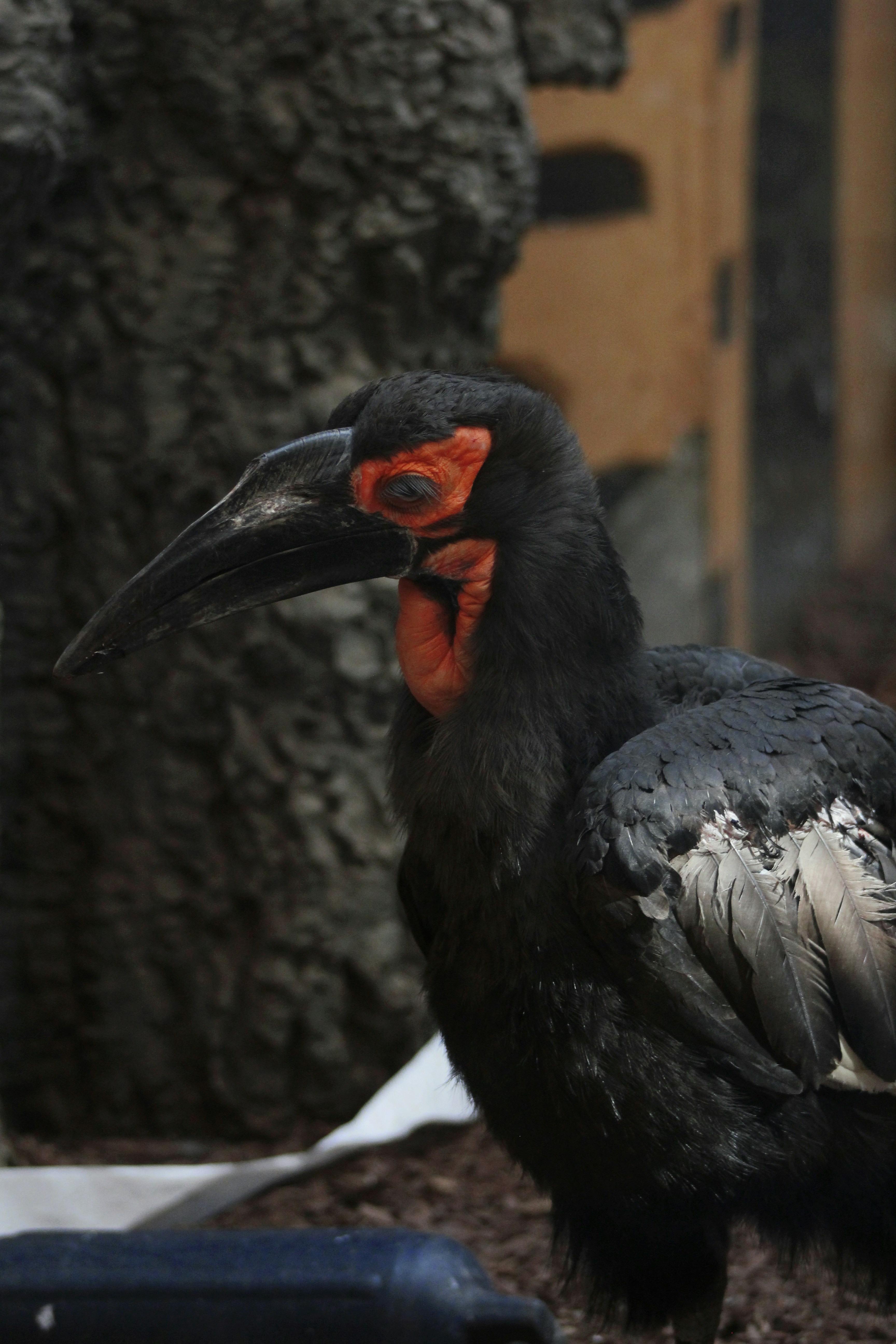 Photo by hakiost