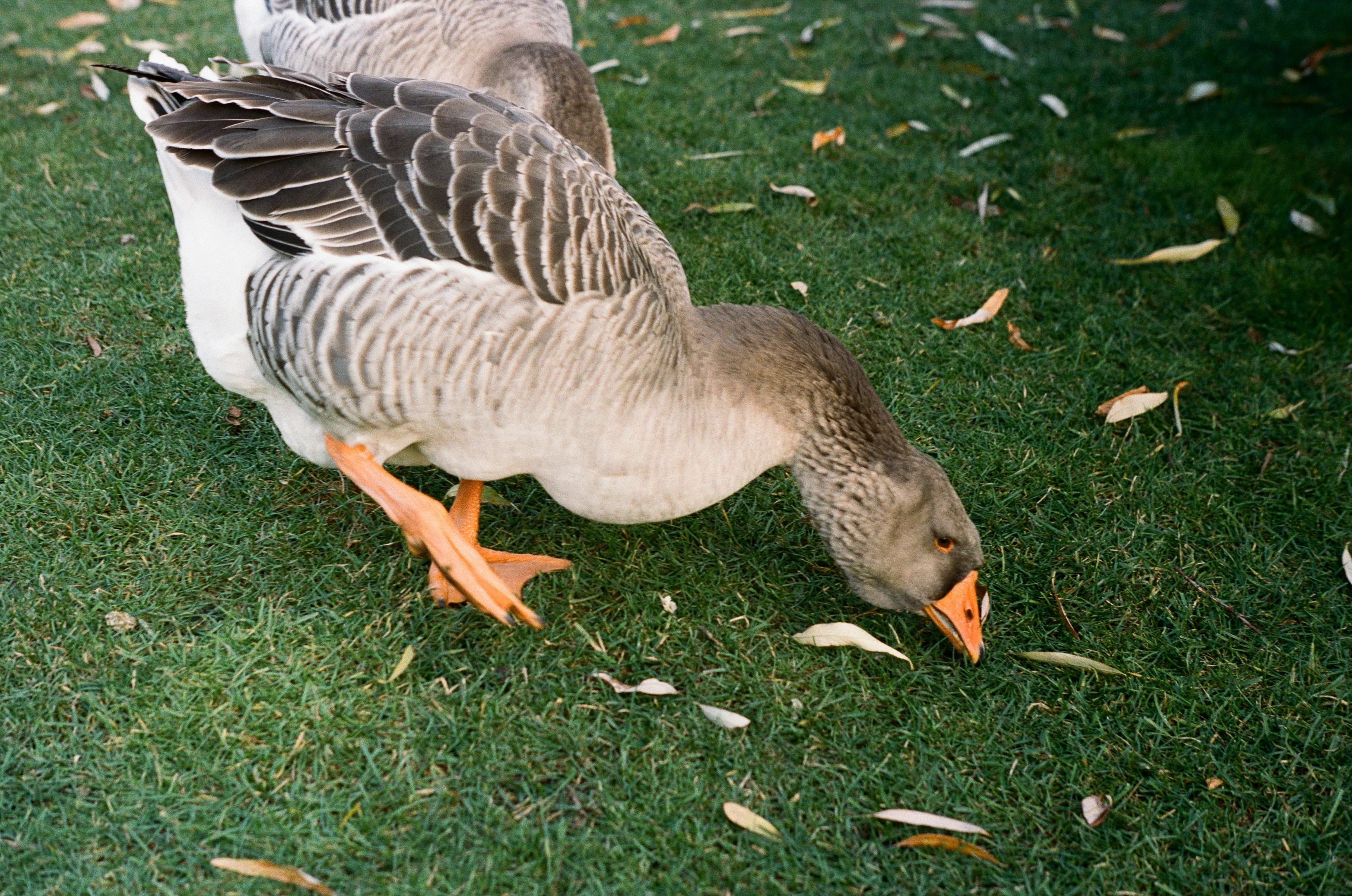 Photo by anastasiiasaan