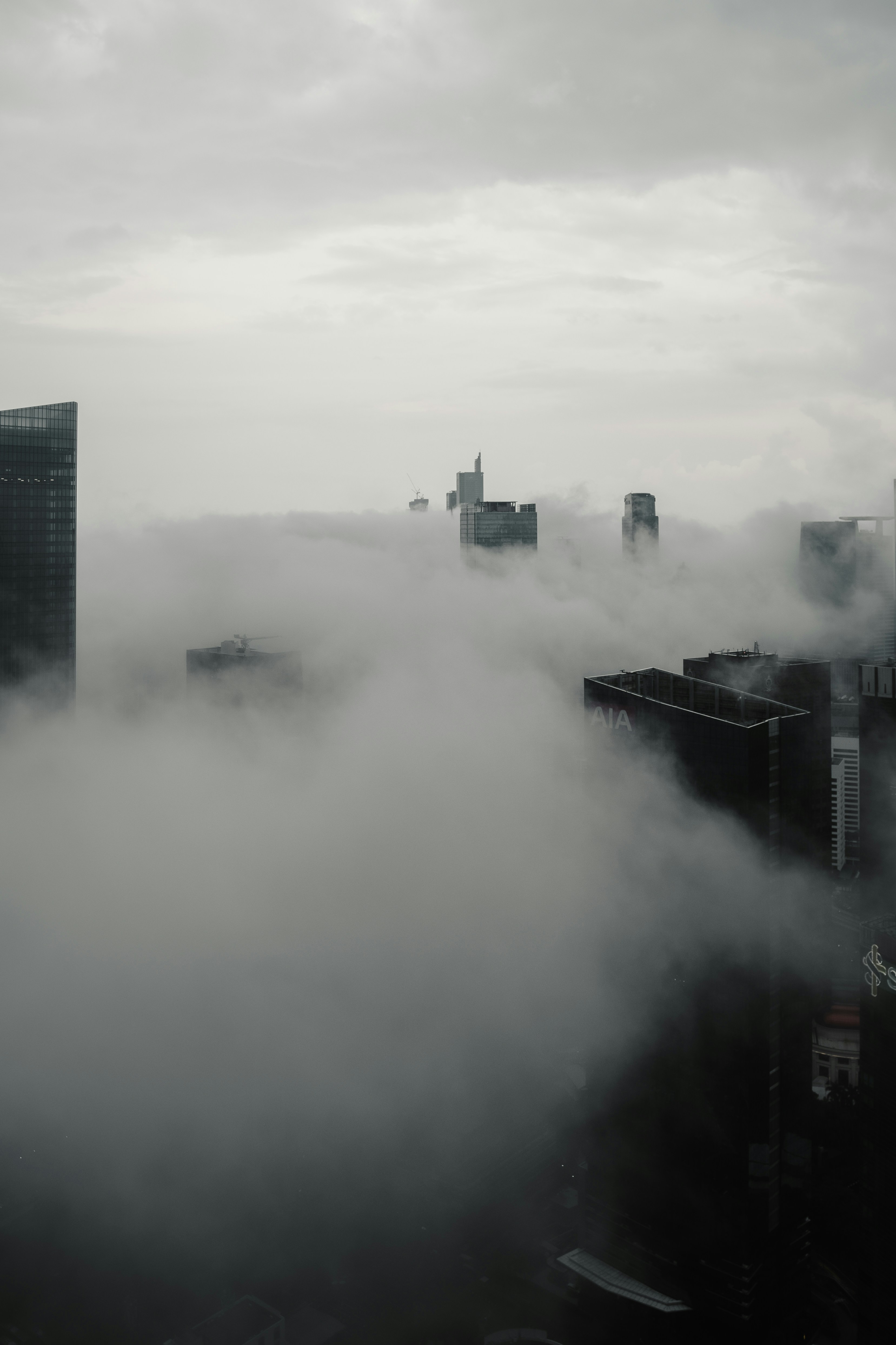 Photo by davidkristianto