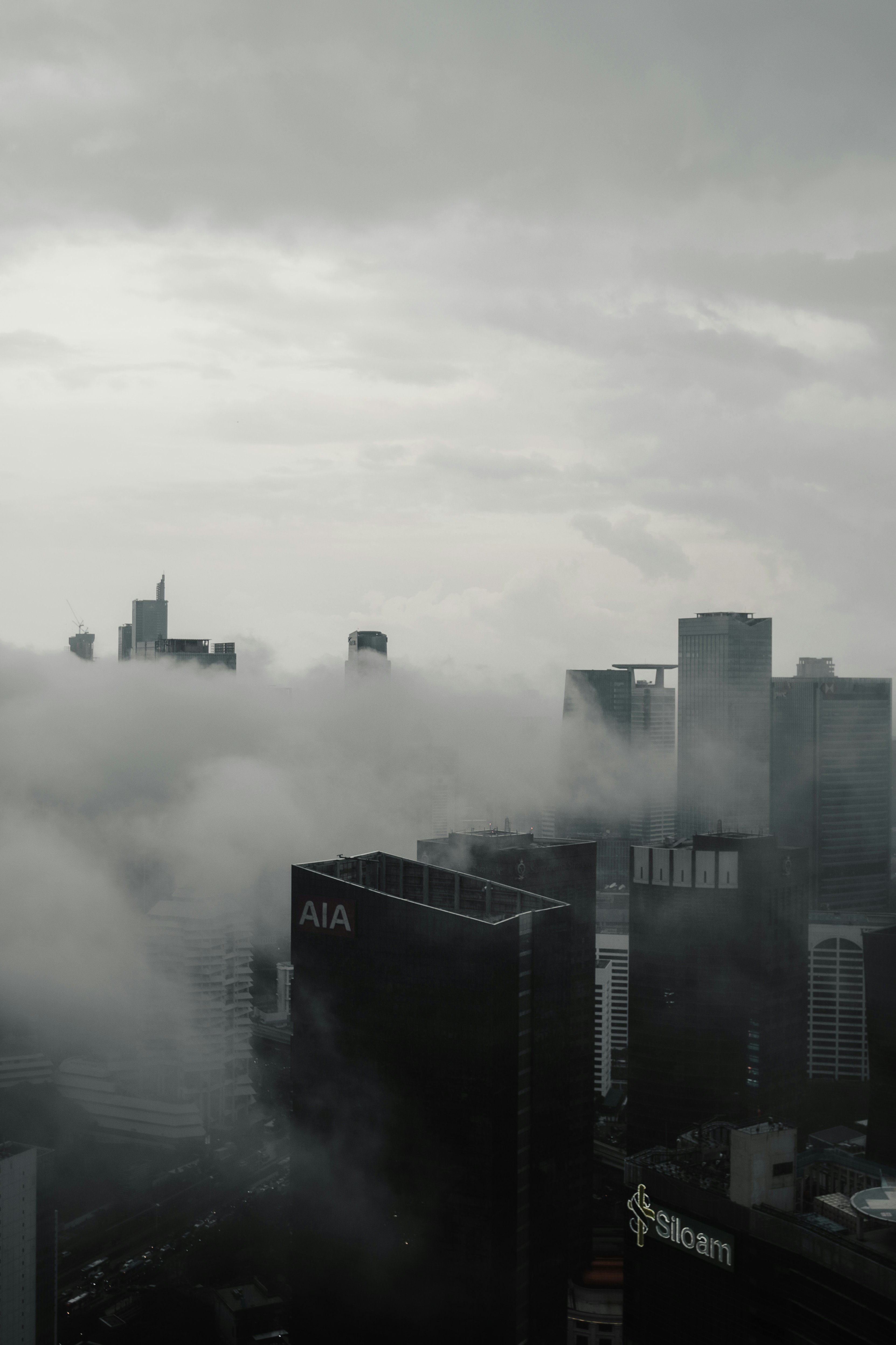 Photo by davidkristianto