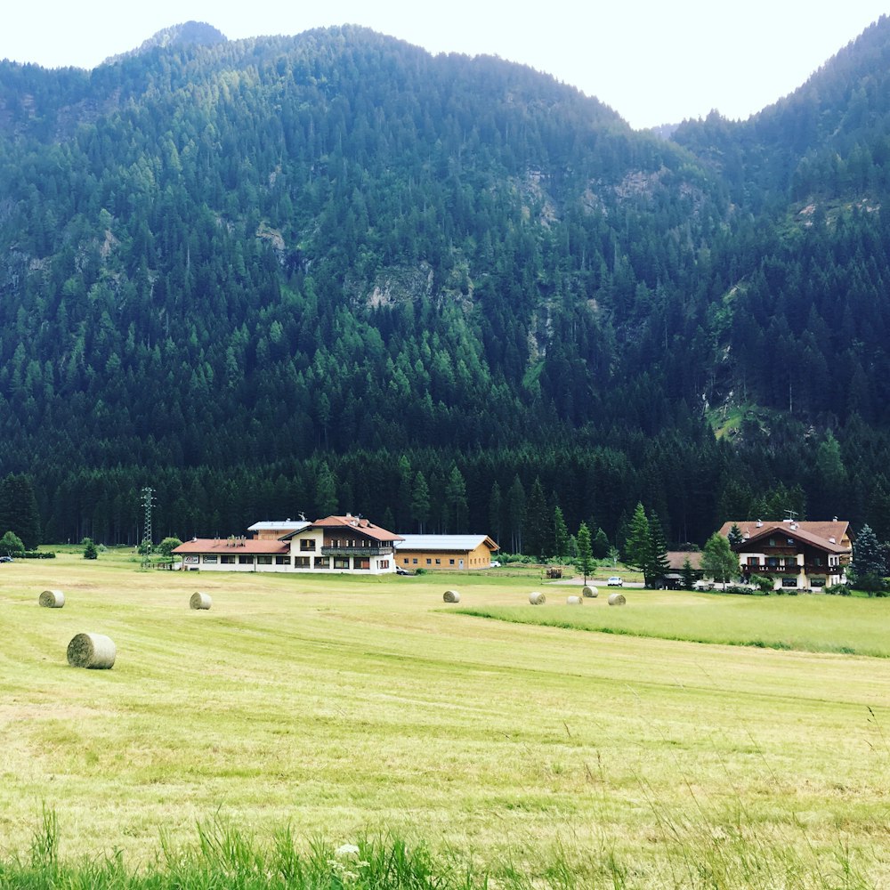 un grande campo con balle di fieno in primo piano