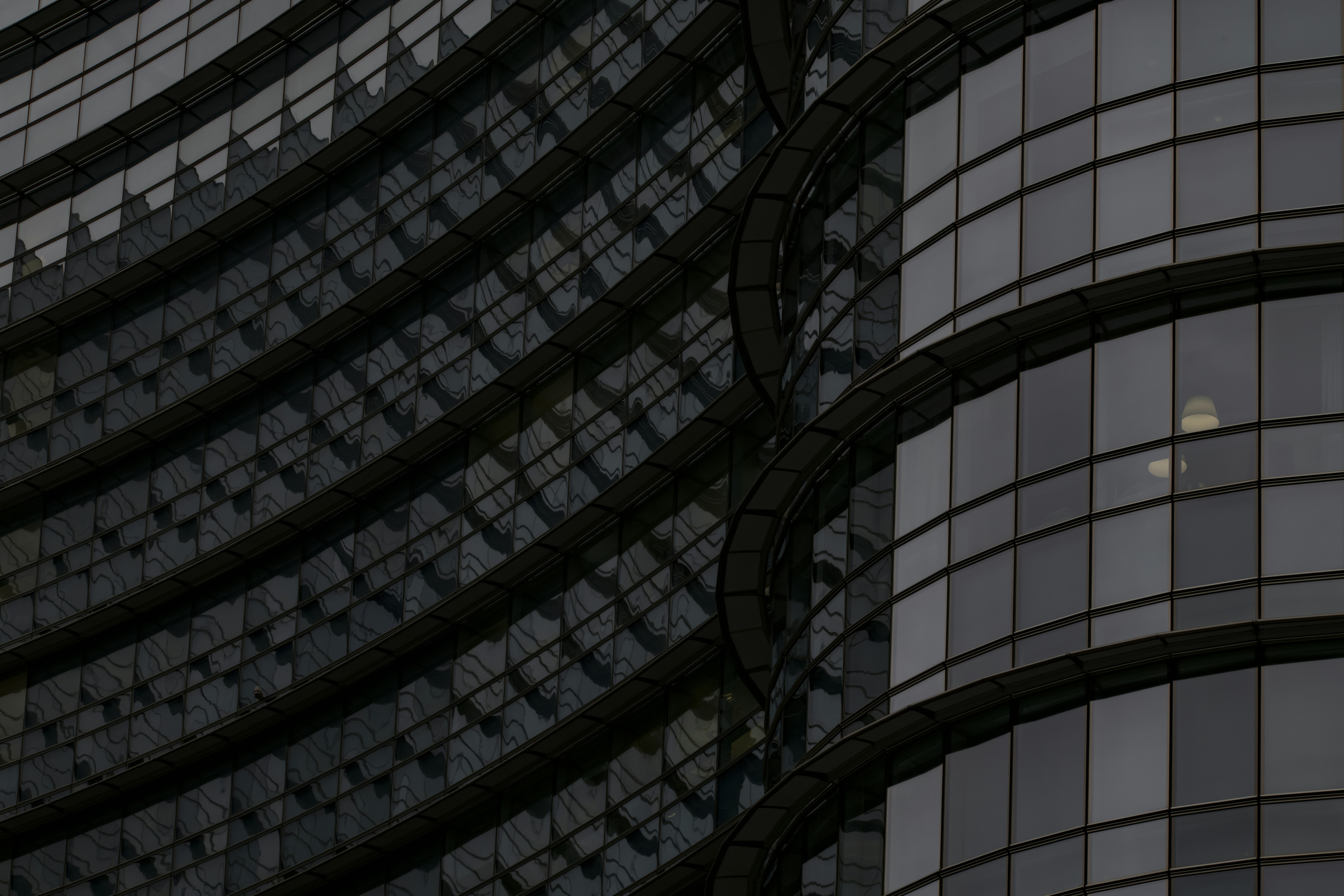 Photo by lauraadaiphoto