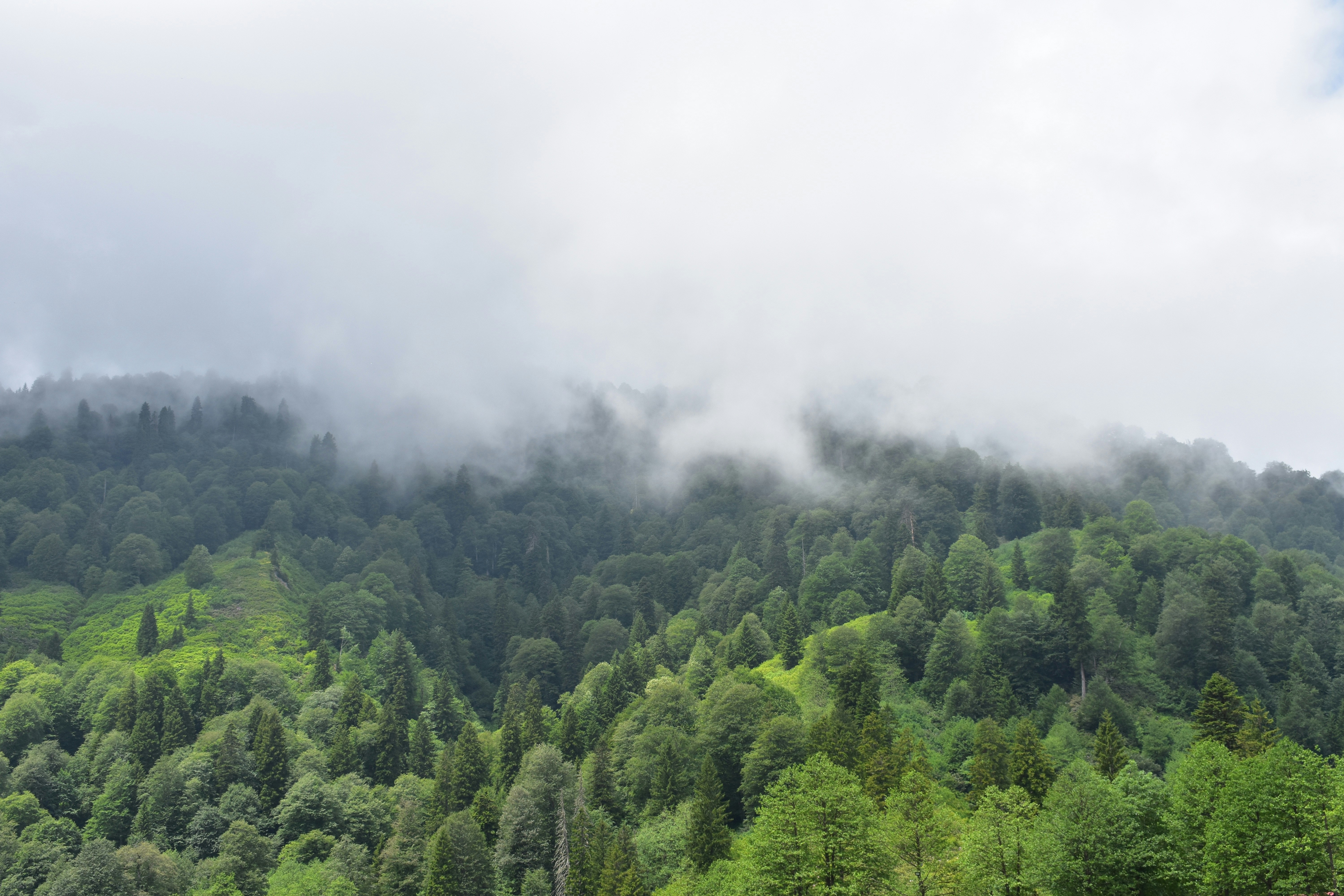 Photo by abdullahguch