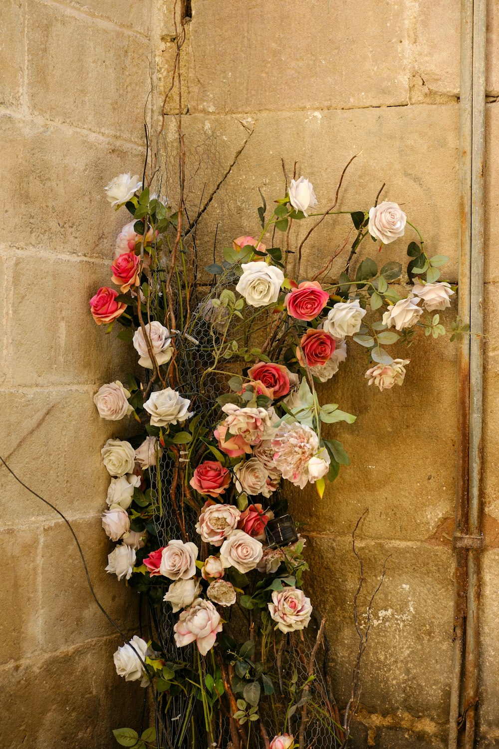 un bouquet de fleurs qui sont sur un mur
