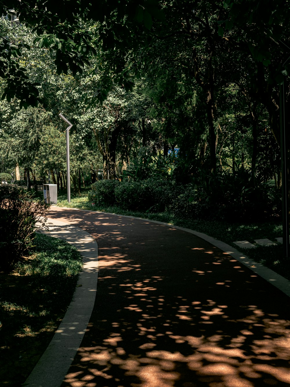 a paved path in the middle of a park