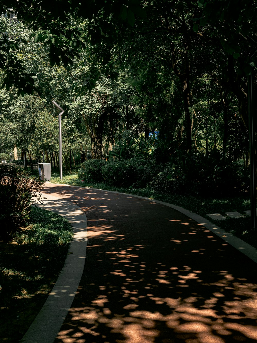 un sentiero lastricato in mezzo a un parco