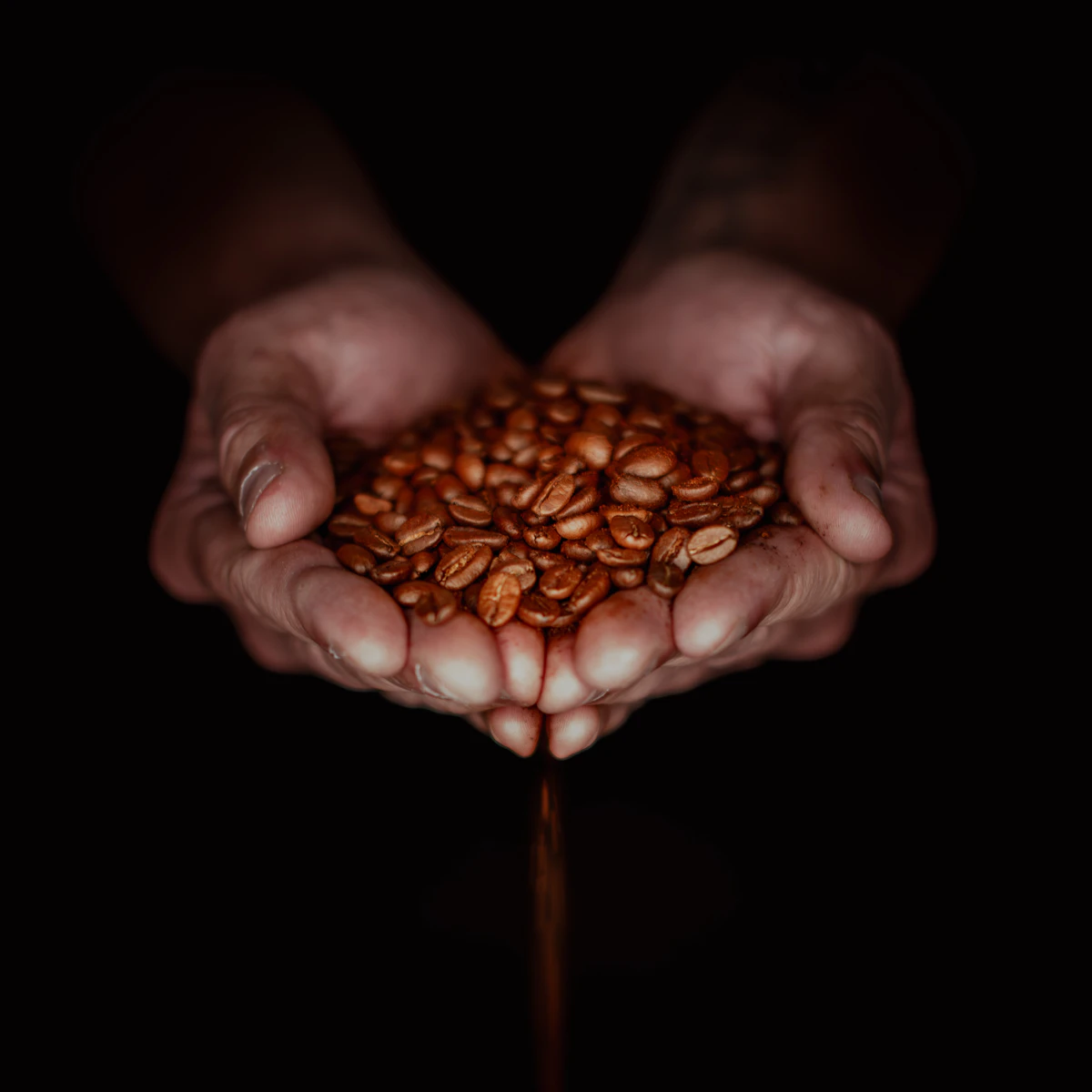 Demo Kafe Artisan